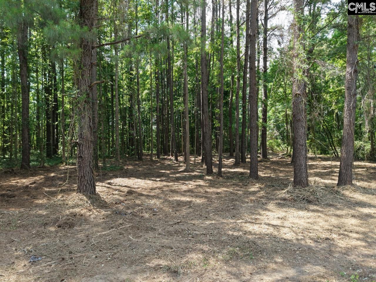 Peace Lane Bowman, SC 29018