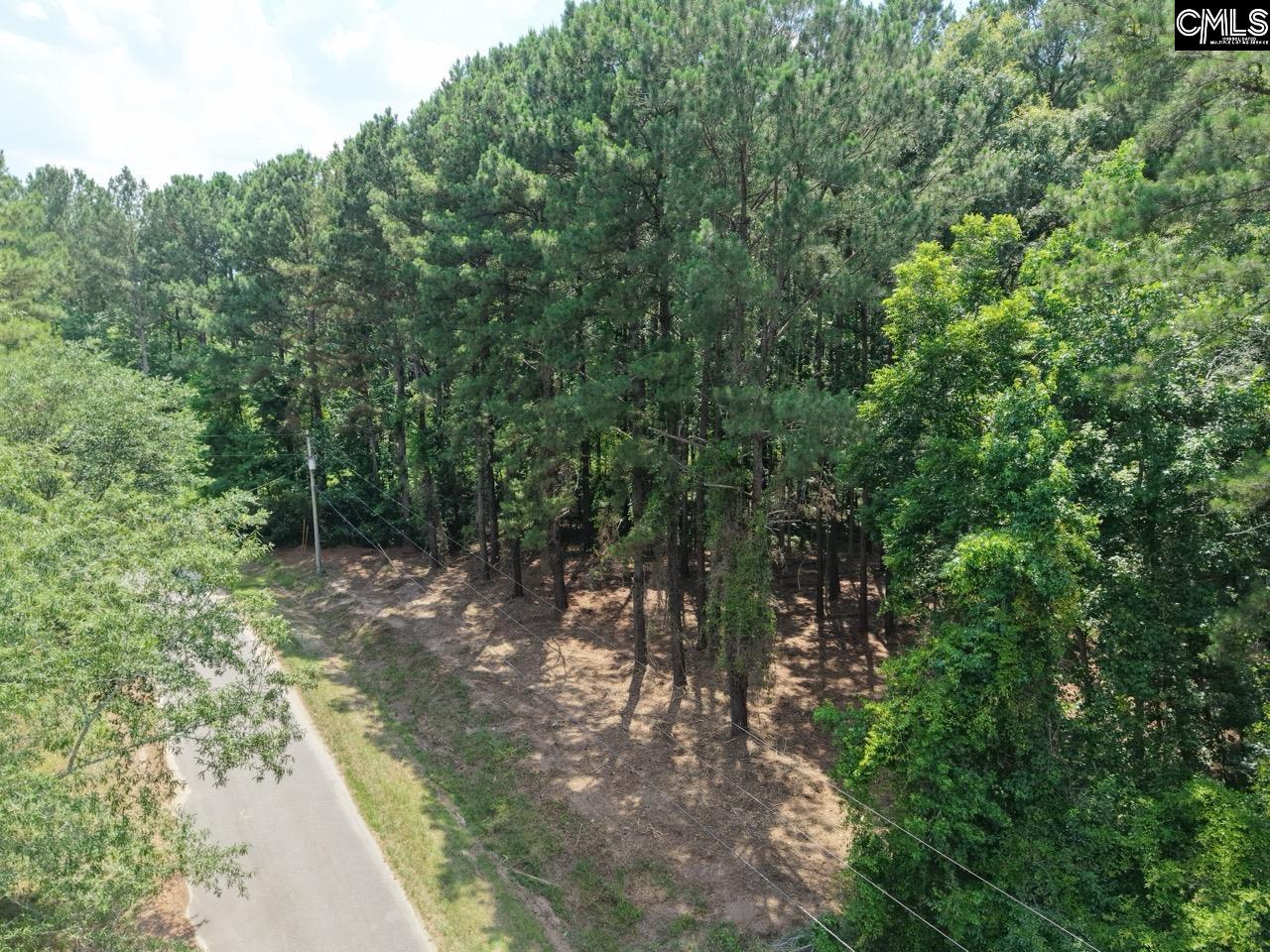 Peace Lane Bowman, SC 29018