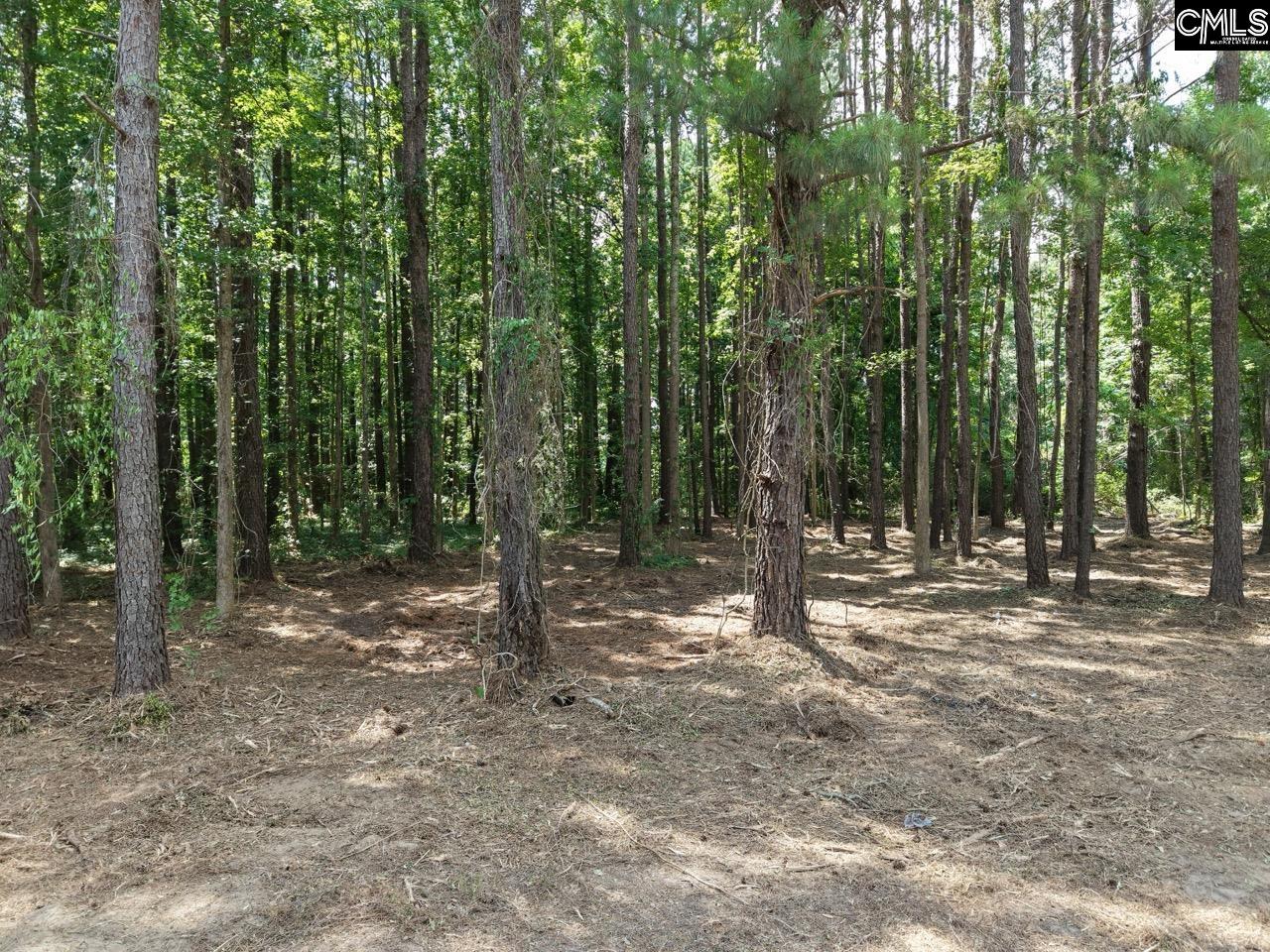 Peace Lane Bowman, SC 29018