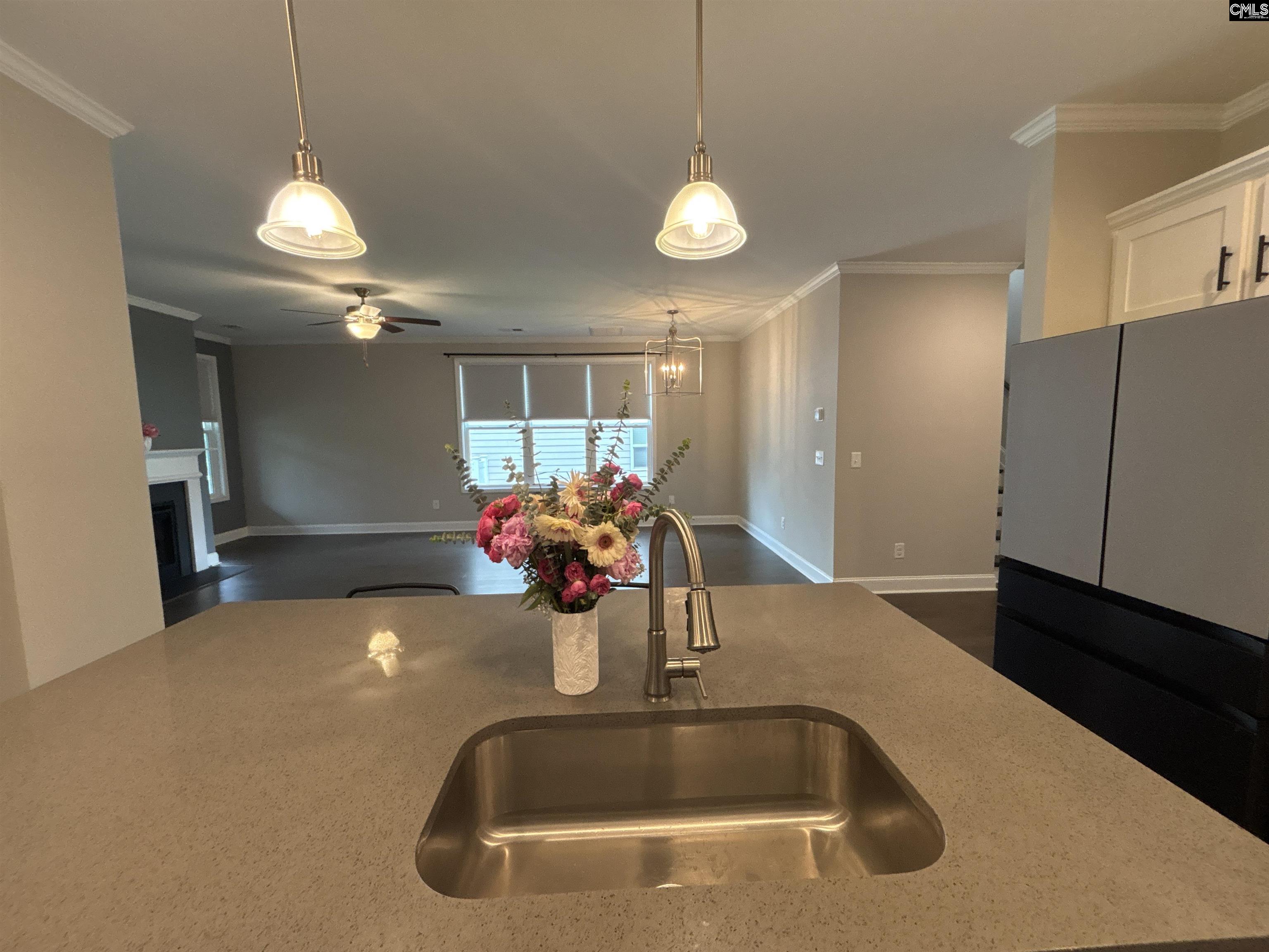 125 Magnolia Petal Drive Elgin, SC 29045