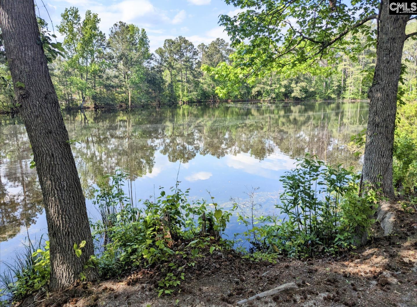 148 Merrimont Drive Blythewood, SC 29016