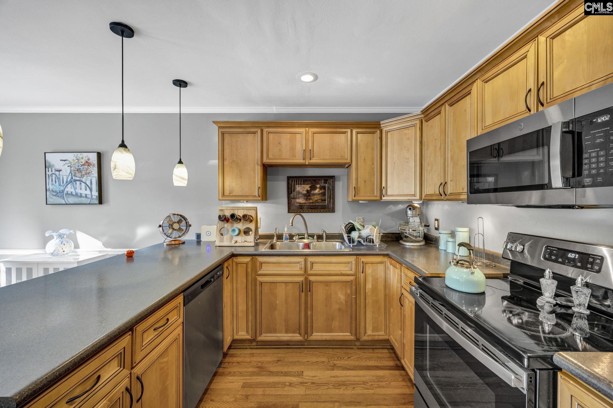 100 Mallard Lakes Court Lexington, SC 29072