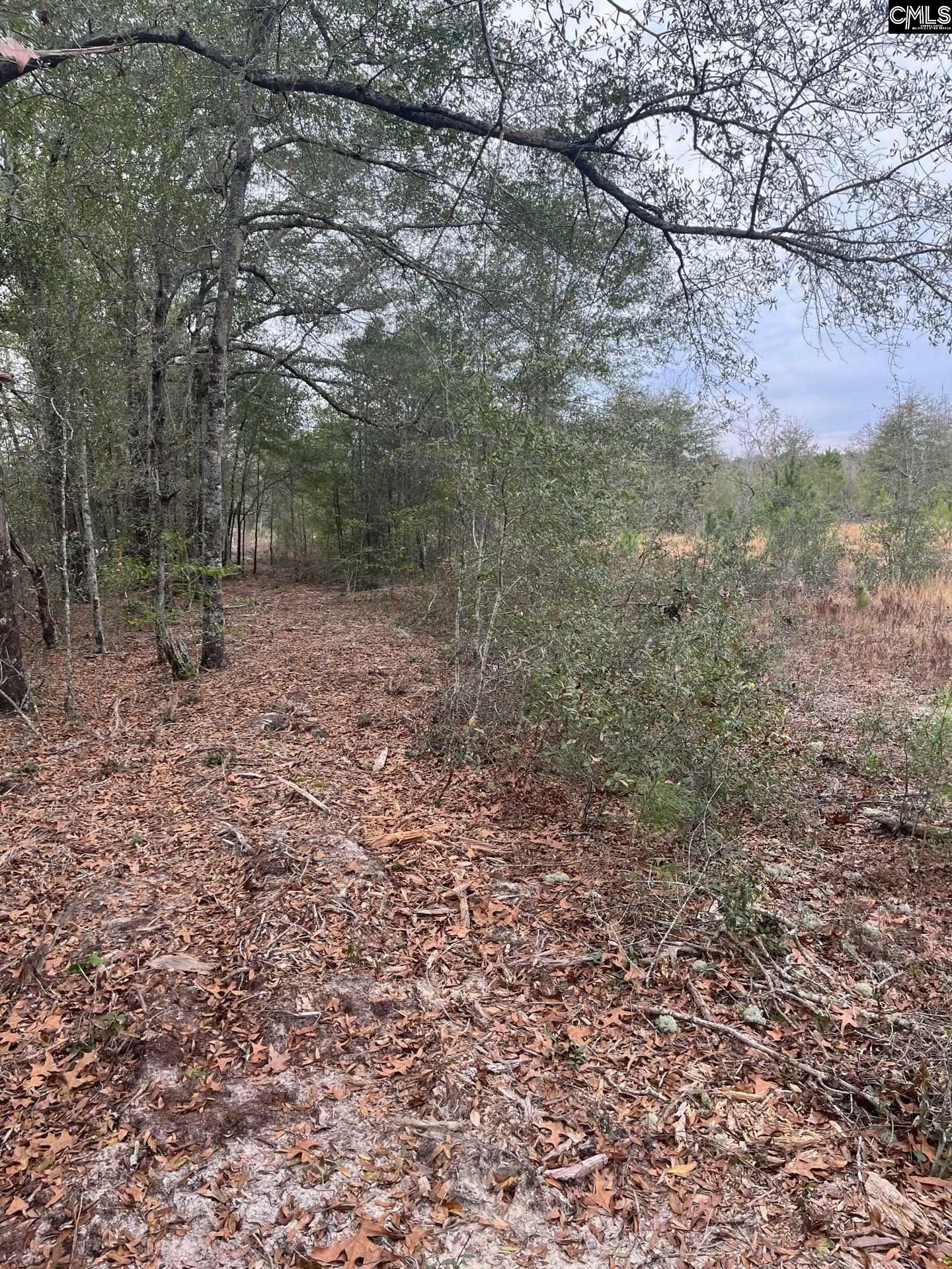 WHL 7 Rainbow Drive Salley, SC 29137