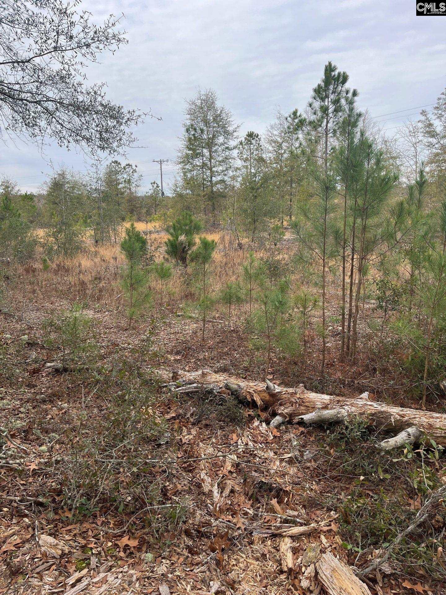 WHL 7 Rainbow Drive Salley, SC 29137