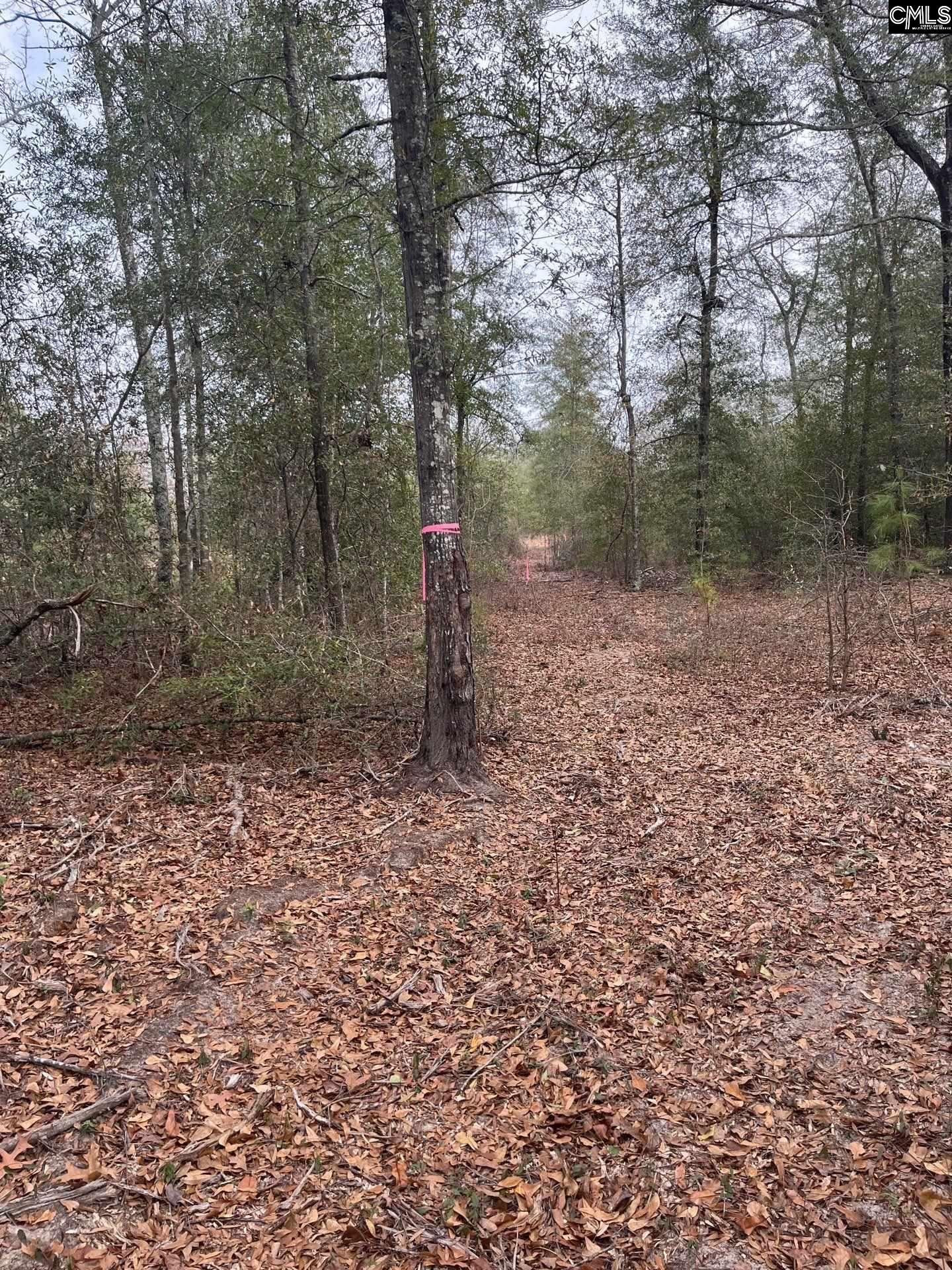 WHL 7 Rainbow Drive Salley, SC 29137