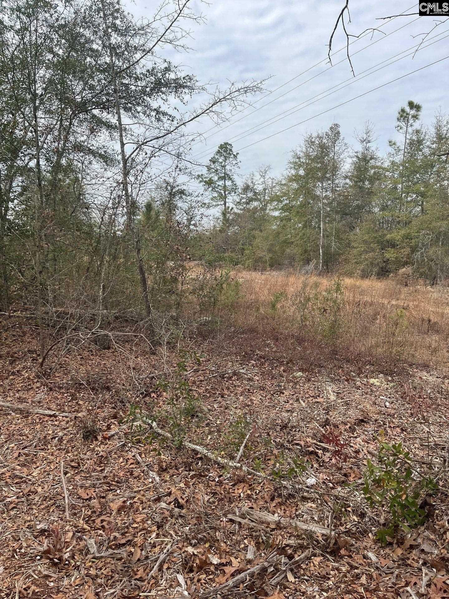 WHL 7 Rainbow Drive Salley, SC 29137