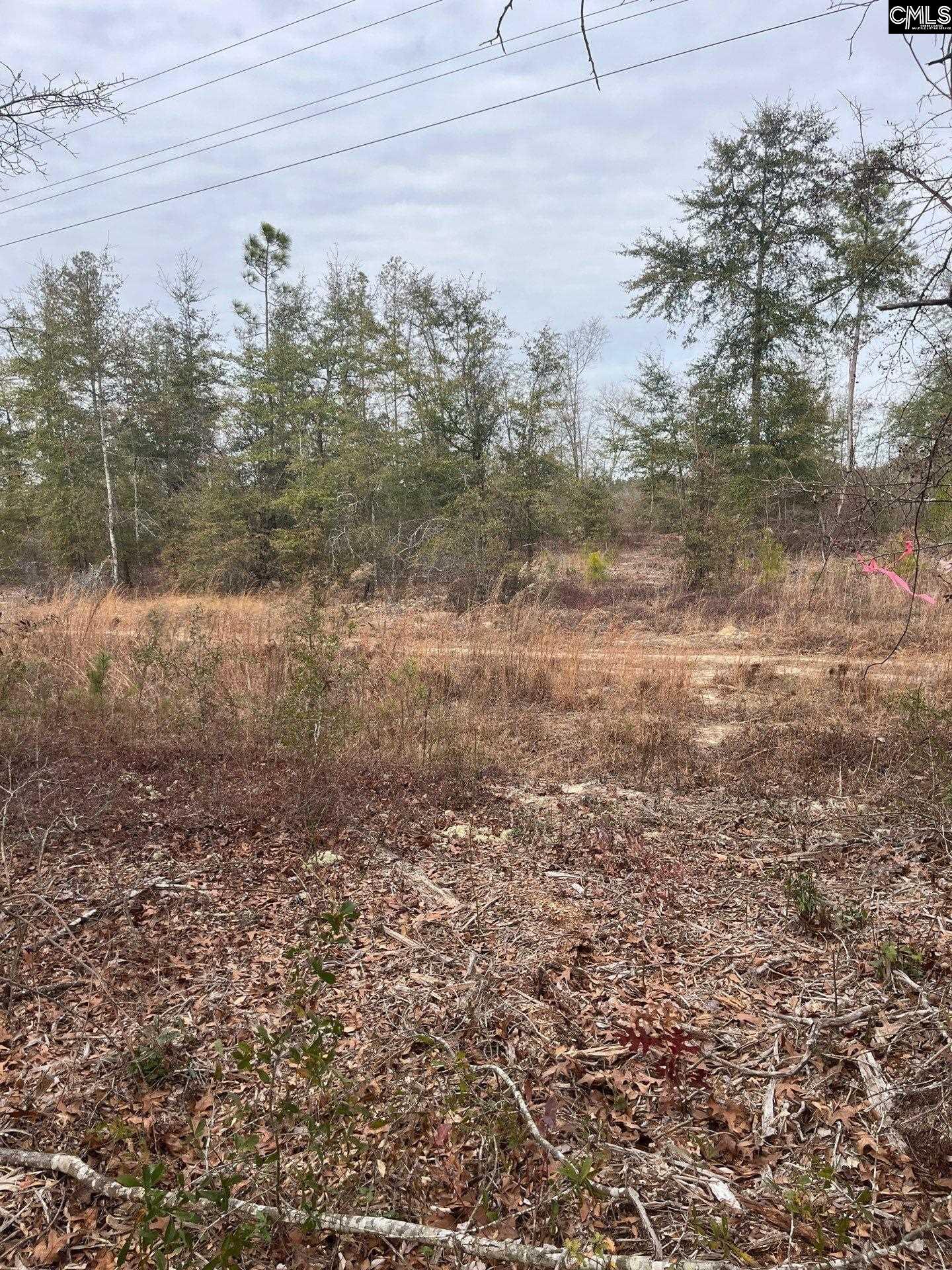 WHL 7 Rainbow Drive Salley, SC 29137