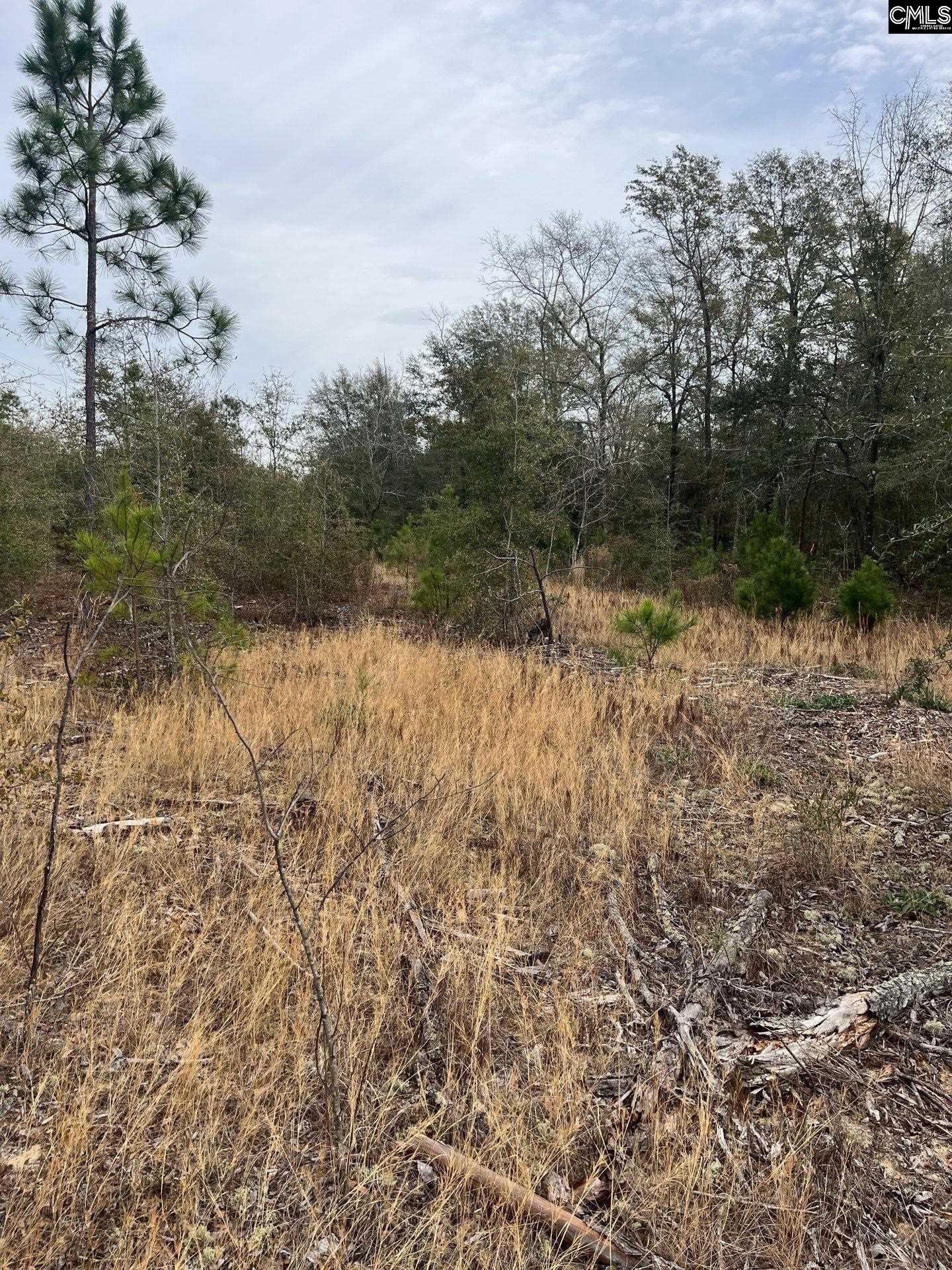 WHL 7 Rainbow Drive Salley, SC 29137