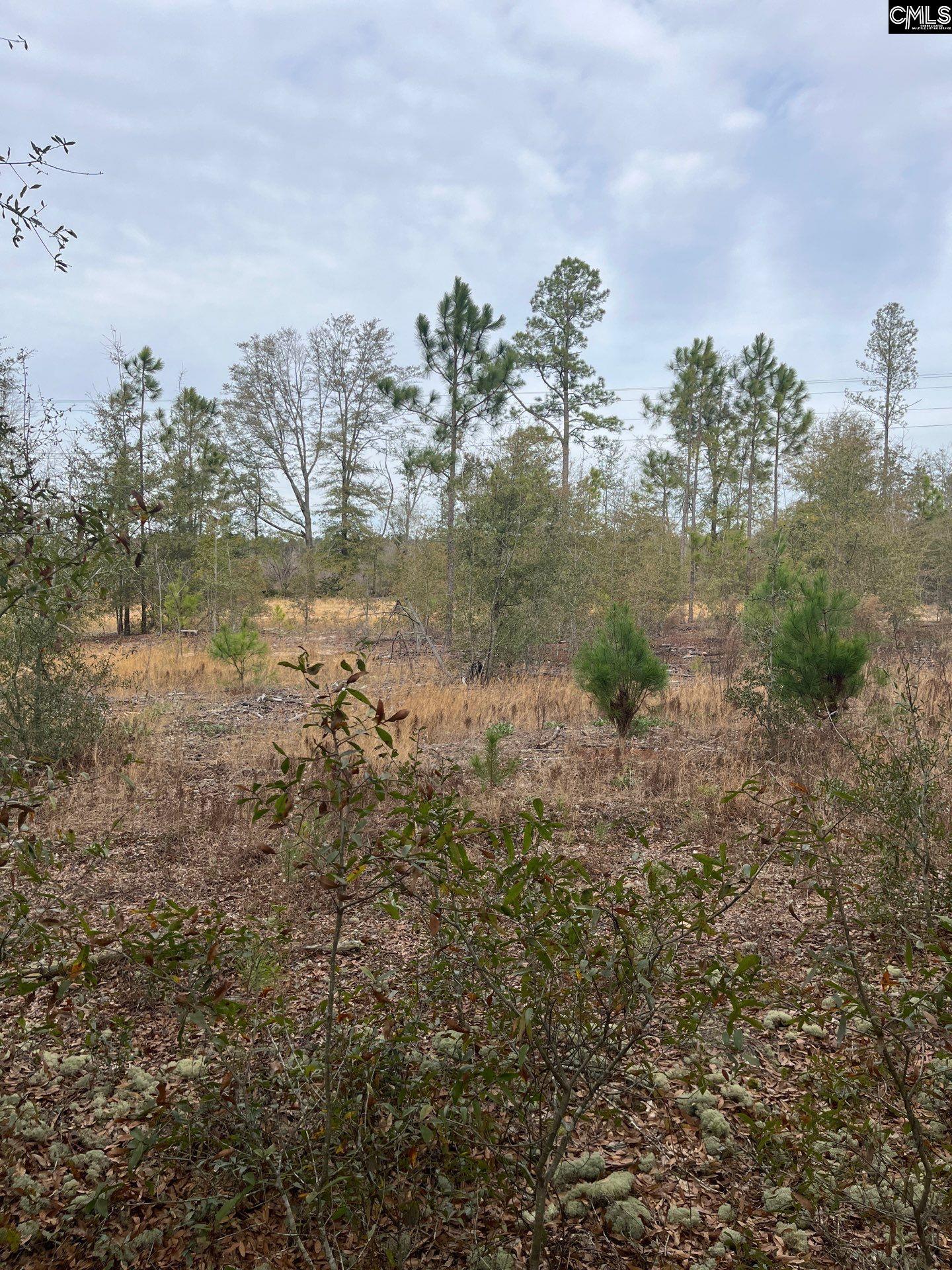 WHL 7 Rainbow Drive Salley, SC 29137
