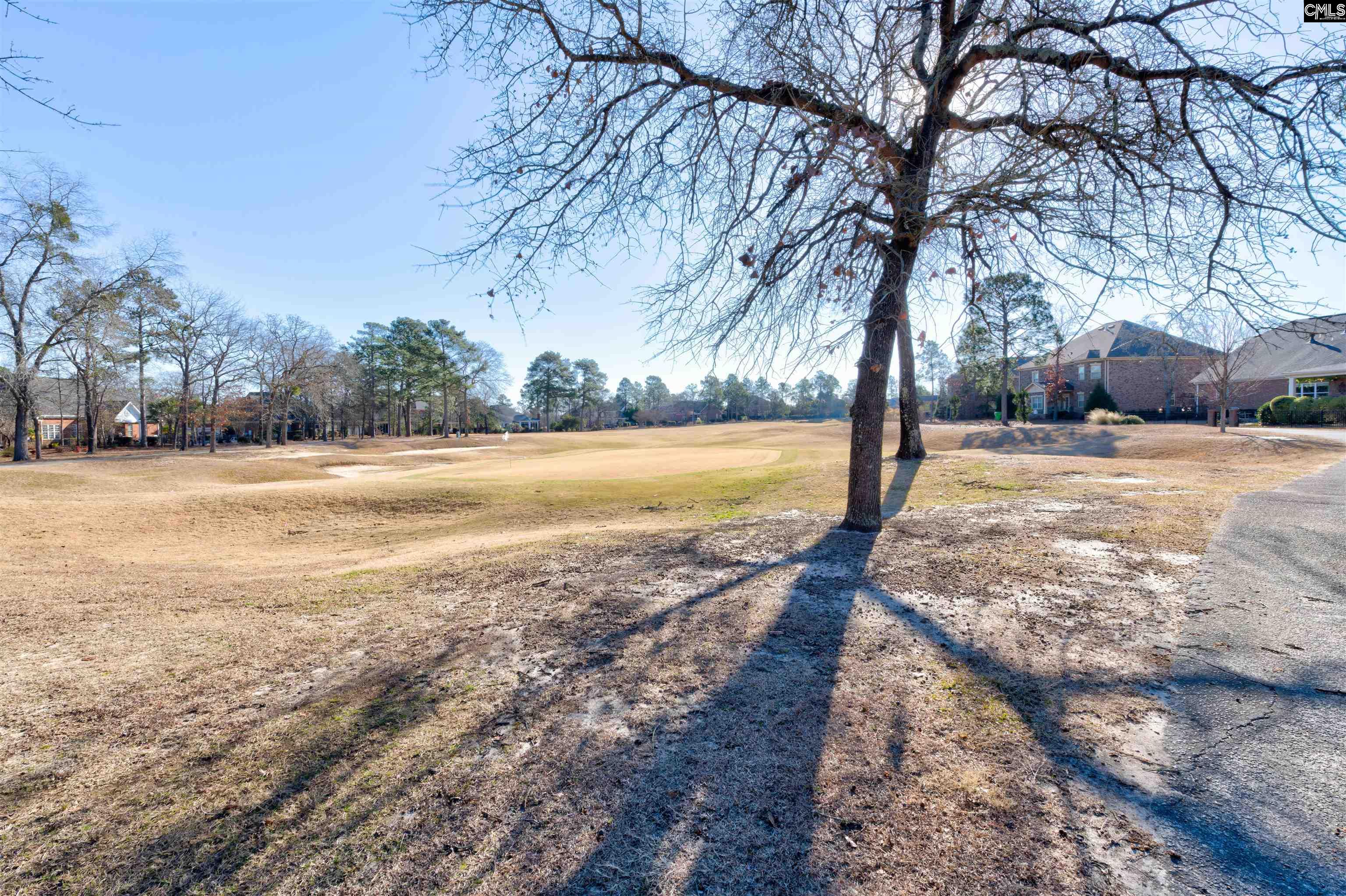 334 Glenn Village Circle Blythewood, SC 29016