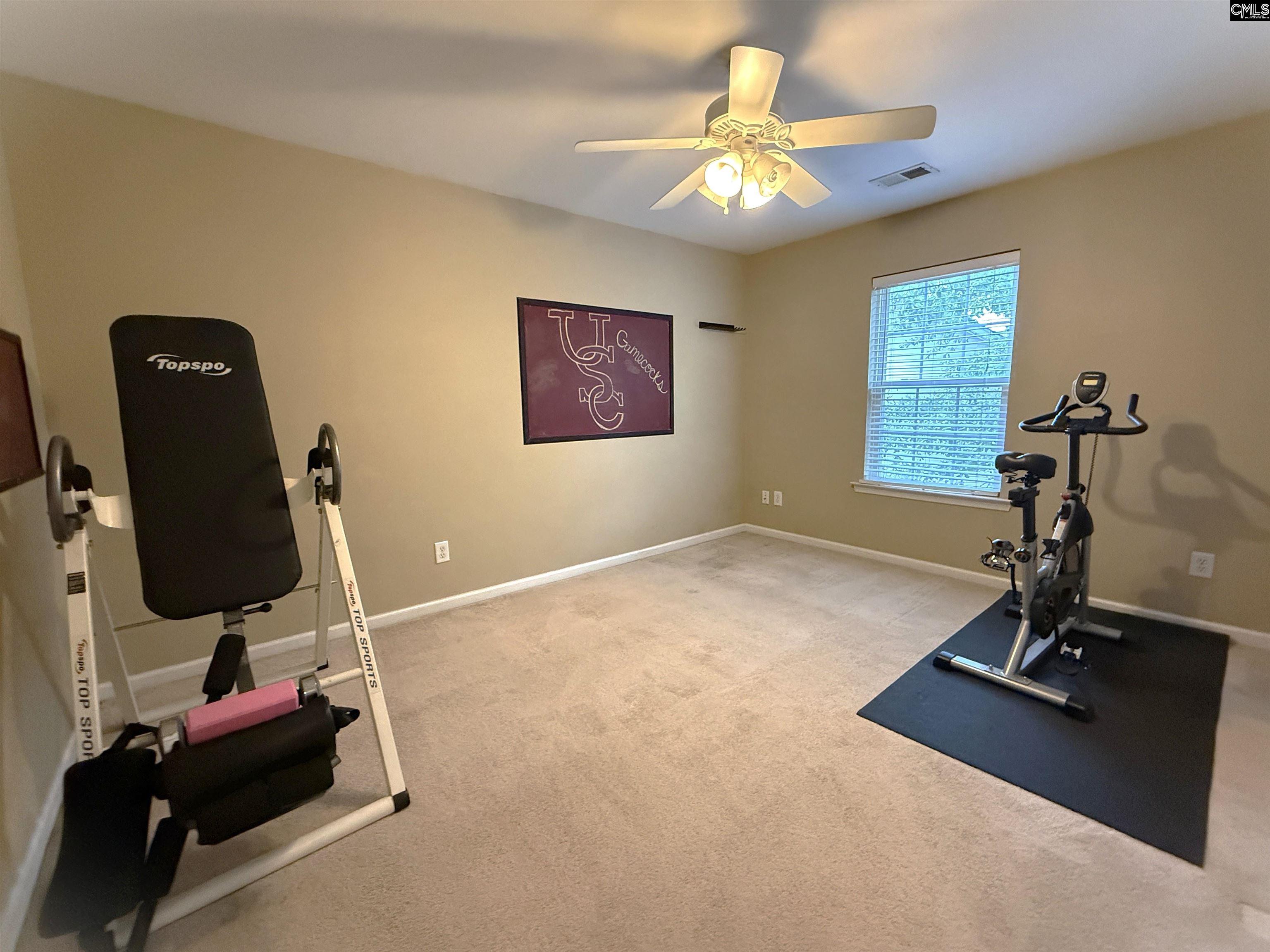 125 Millstone Lane Lexington, SC 29072