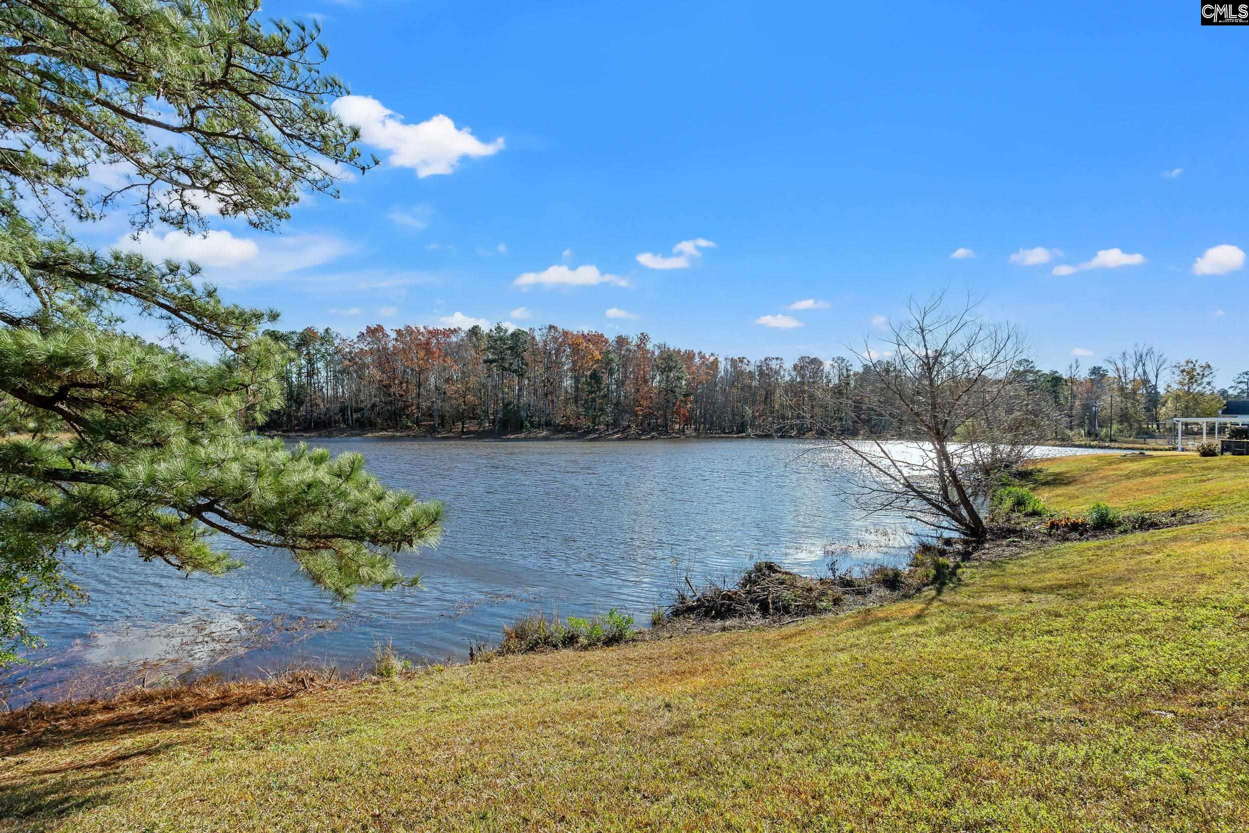 40 Southwoode Circle Chapin, SC 29036