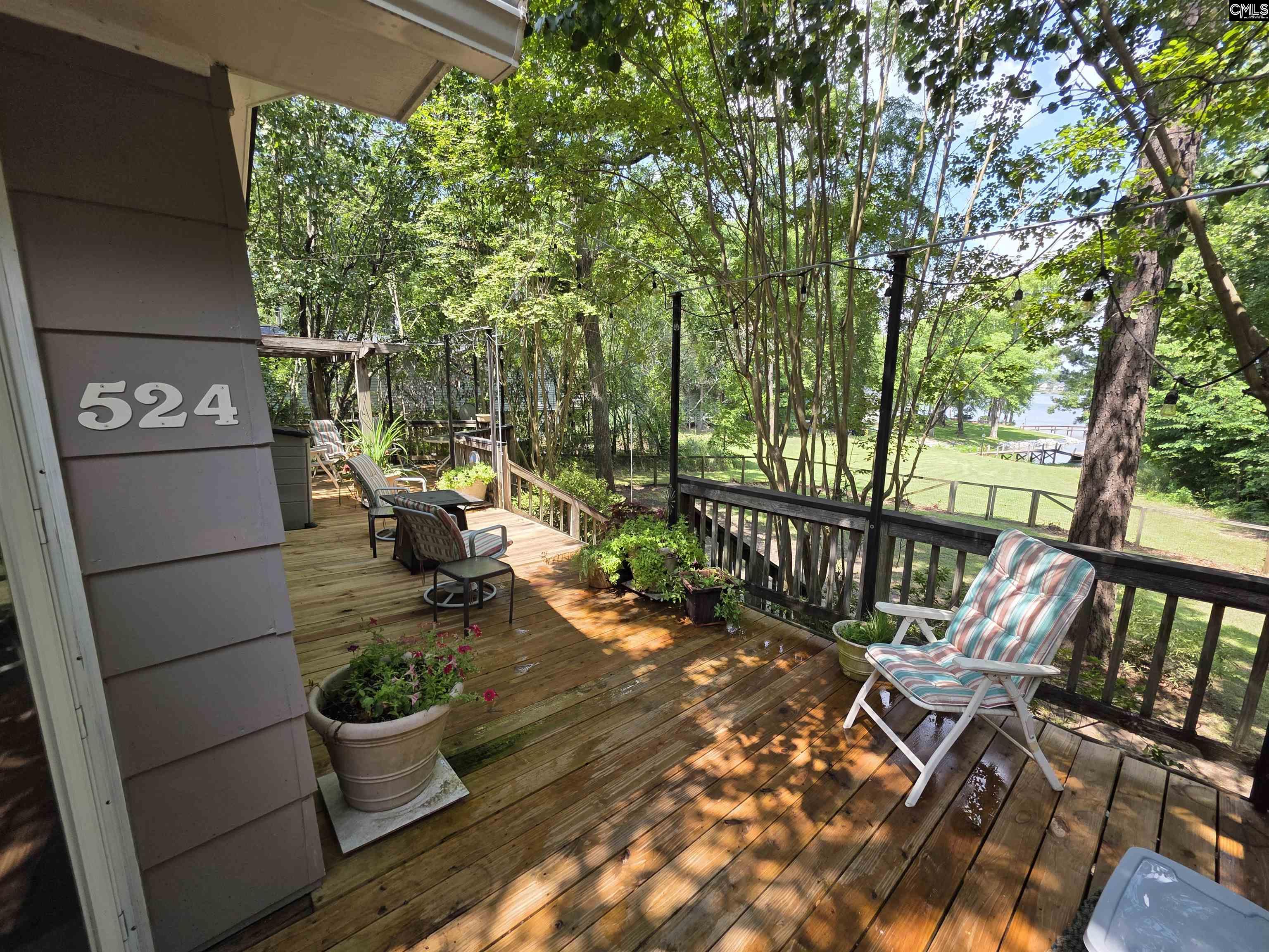 524 Lakemont Drive Chapin, SC 29036