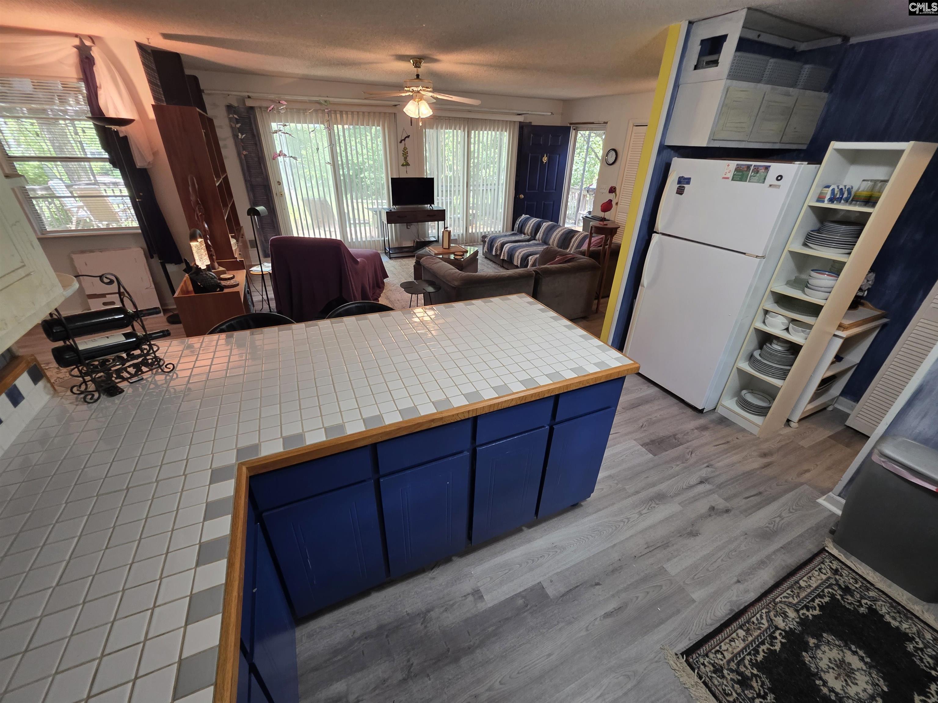 524 Lakemont Drive Chapin, SC 29036