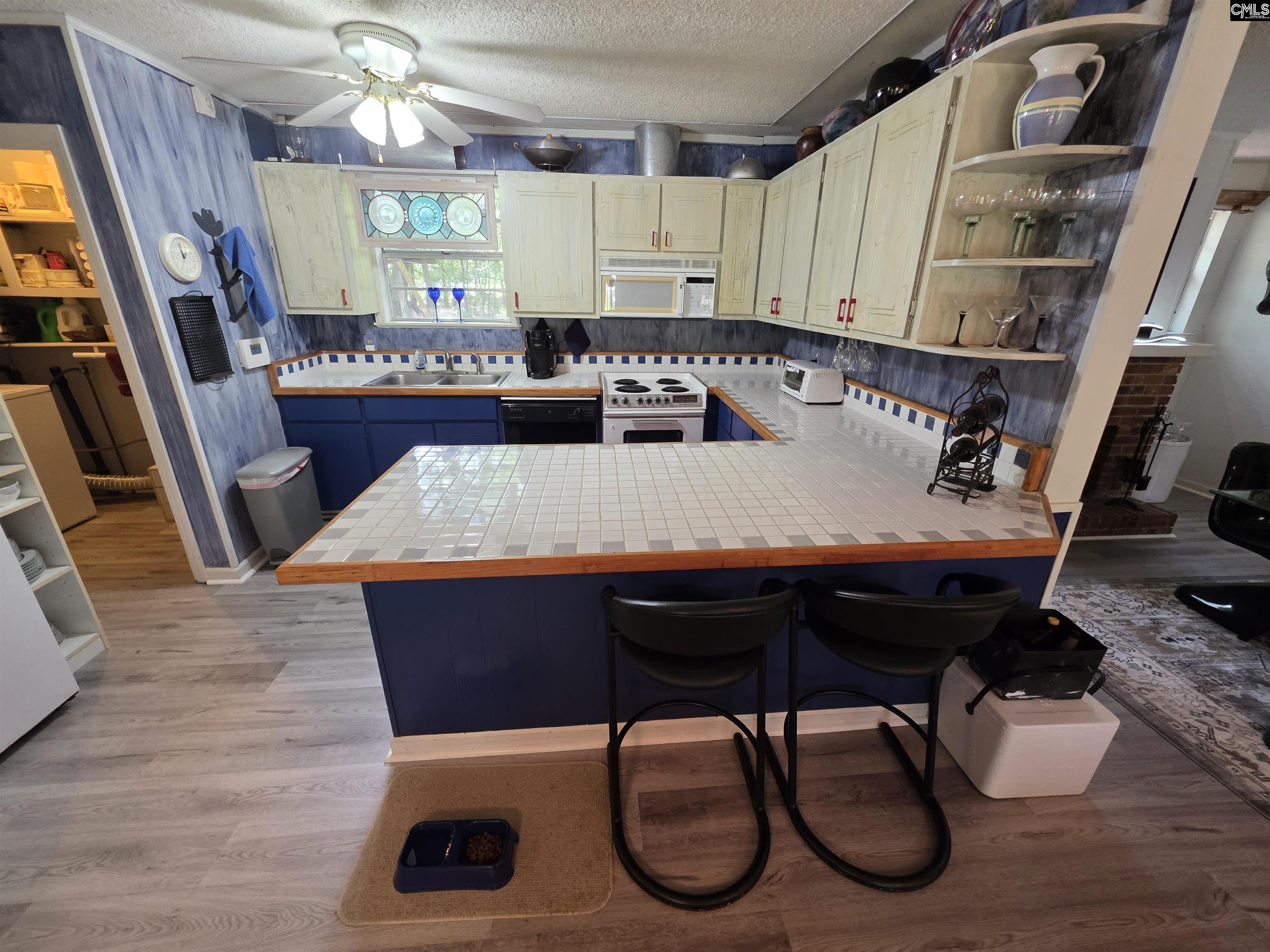 524 Lakemont Drive Chapin, SC 29036