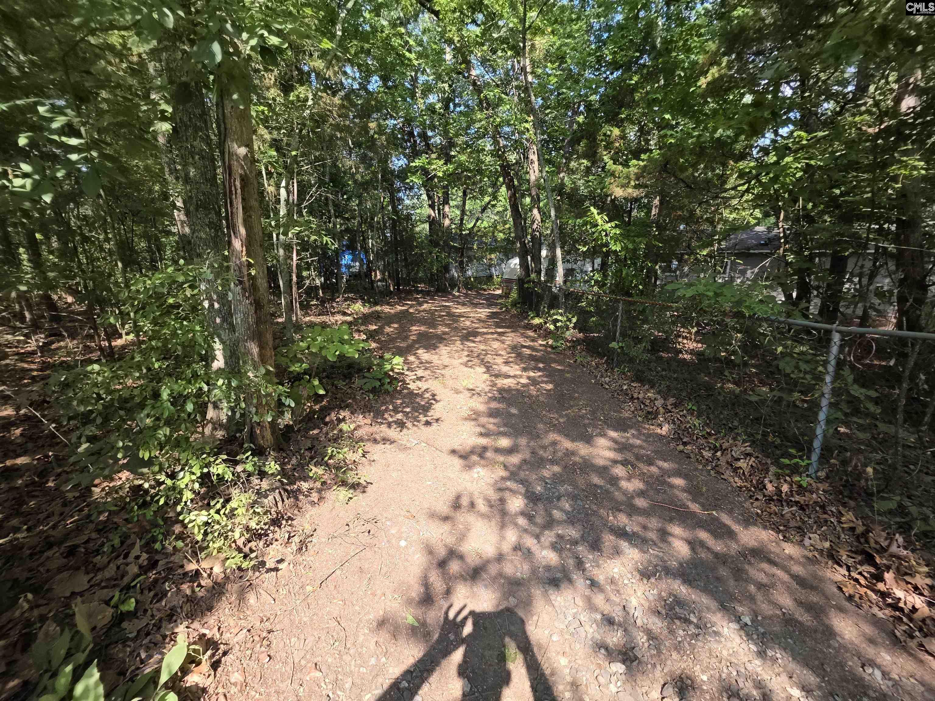 524 Lakemont Drive Chapin, SC 29036