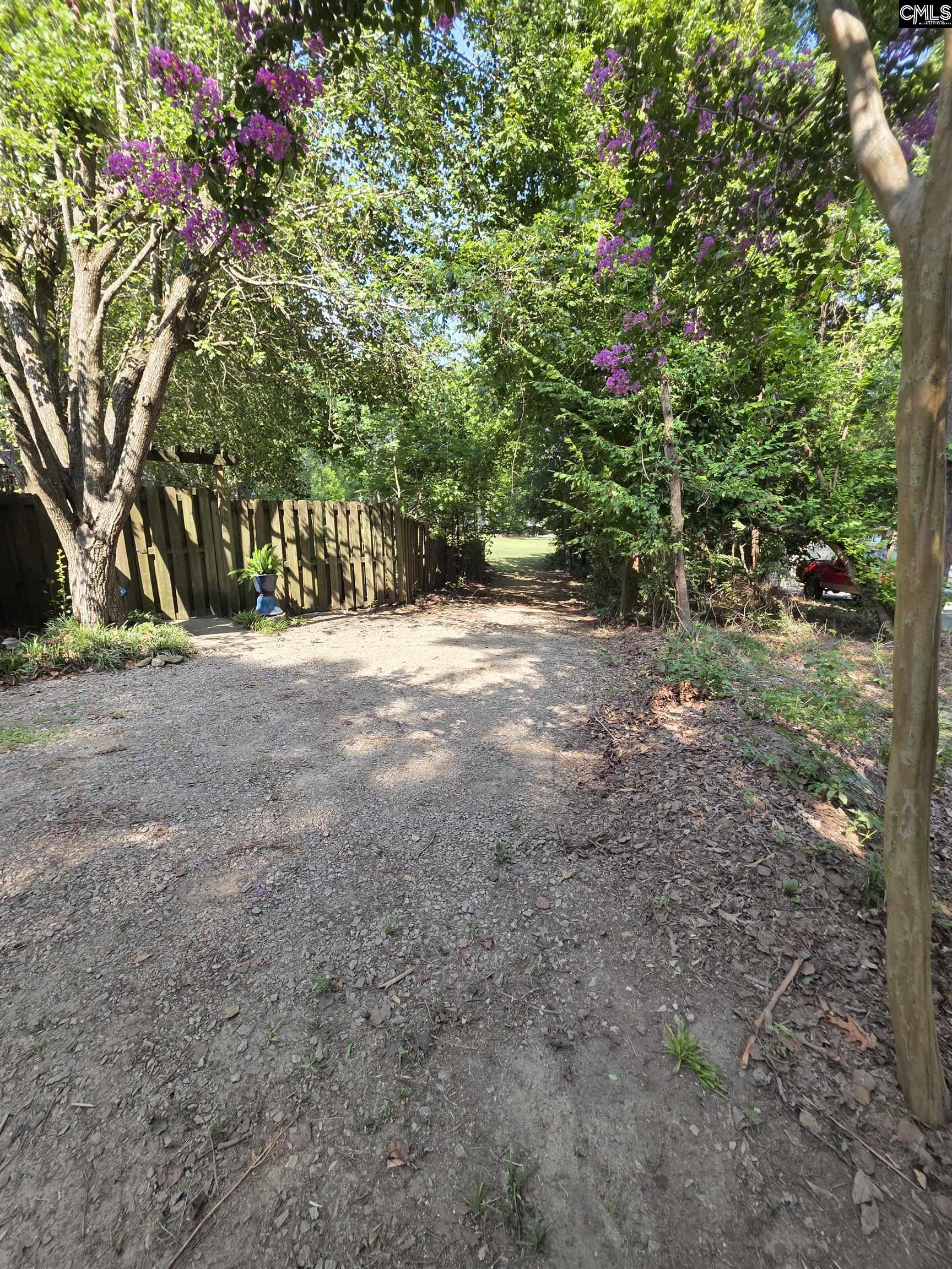 524 Lakemont Drive Chapin, SC 29036