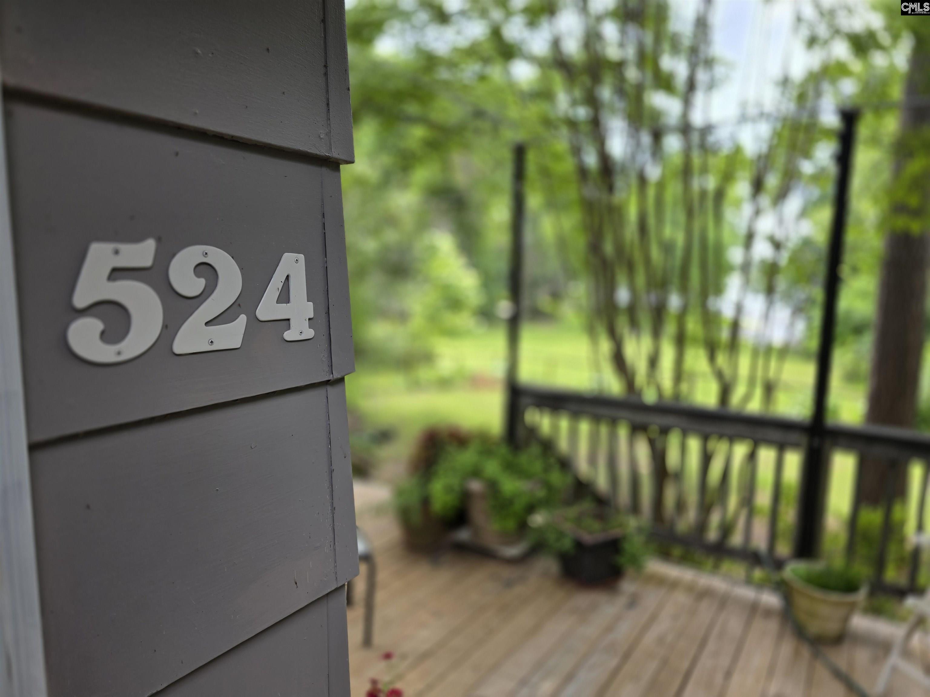 524 Lakemont Drive Chapin, SC 29036