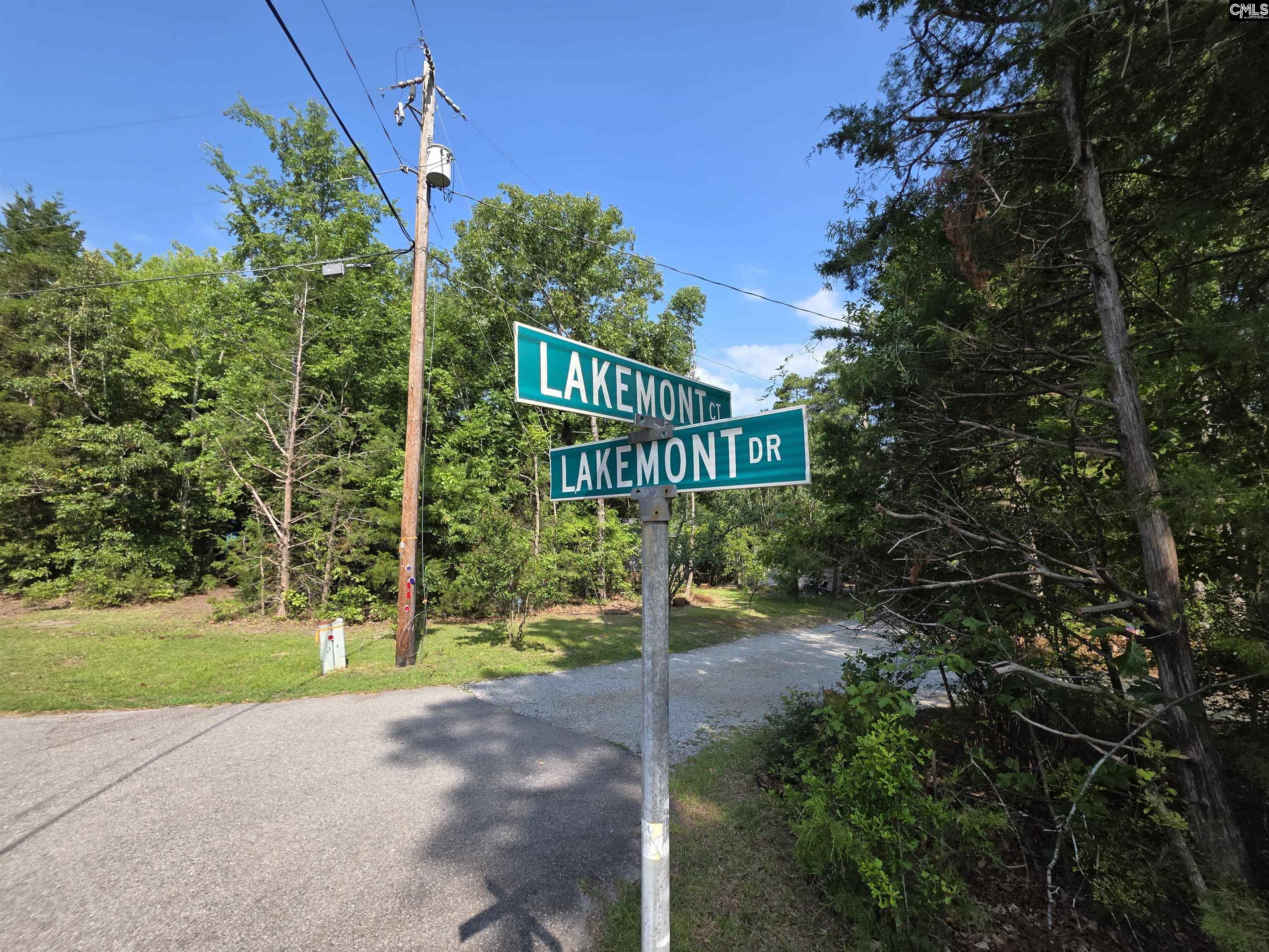 524 Lakemont Drive Chapin, SC 29036