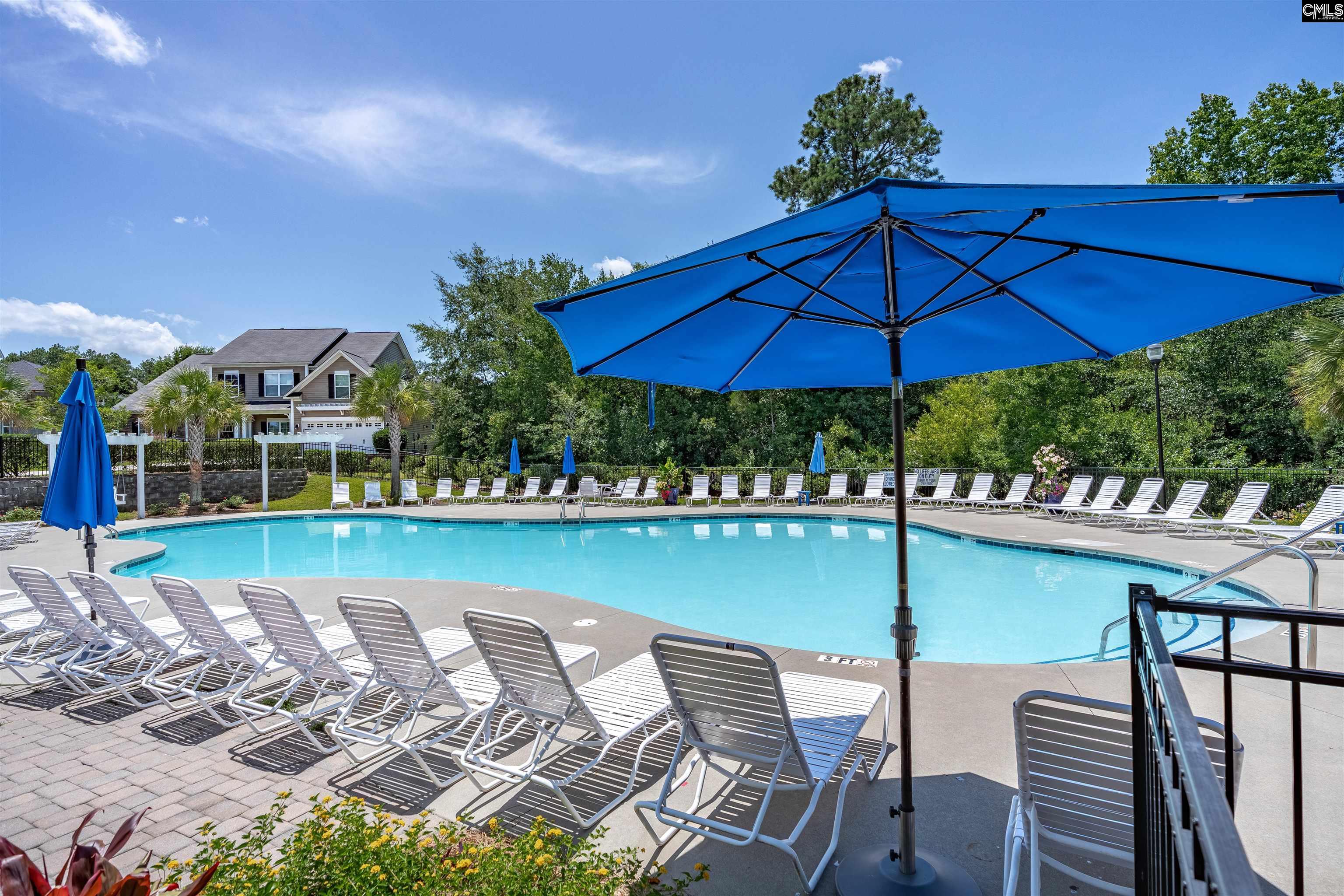 321 Asa Rose Lane Lexington, SC 29072
