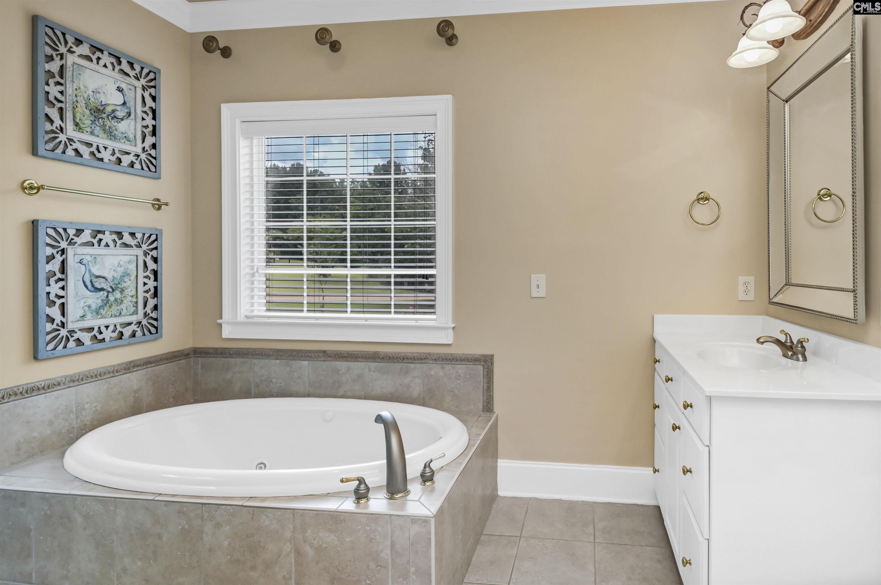 401 Lake Estate Drive Chapin, SC 29036