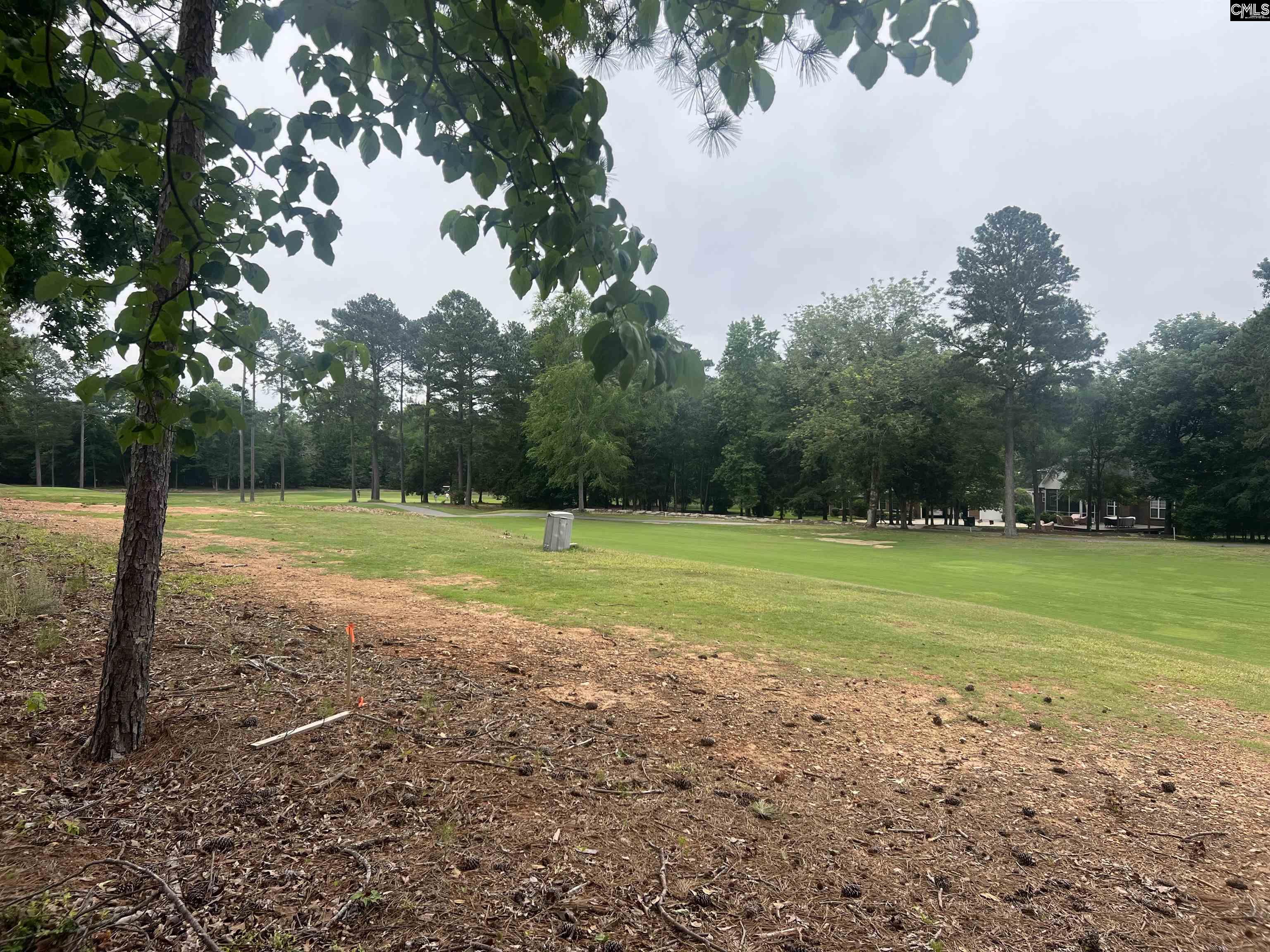 521 Misty Banks Drive UNIT #5 Chapin, SC 29036-7202