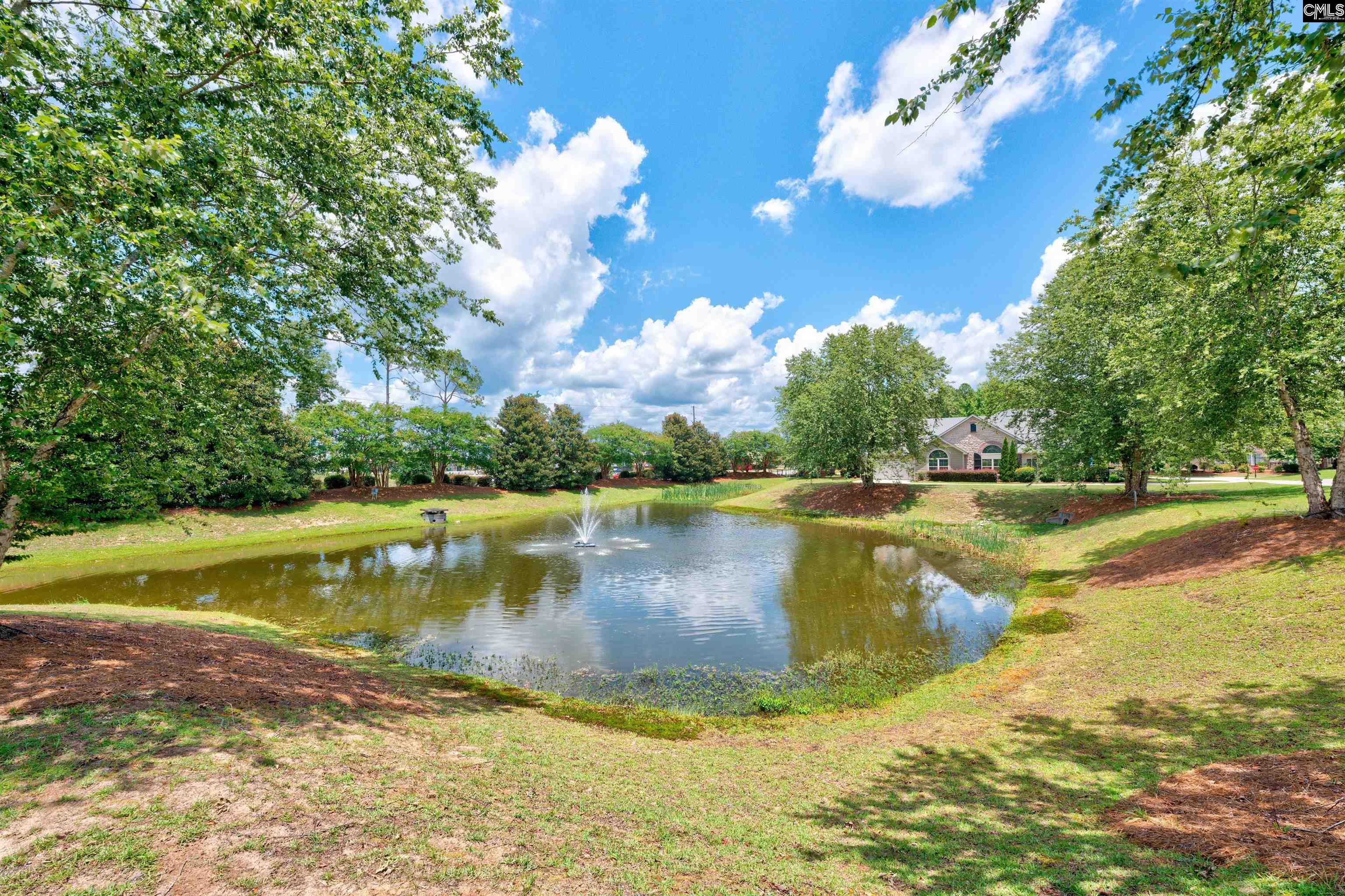 125 Peach Grove Circle Elgin, SC 29045