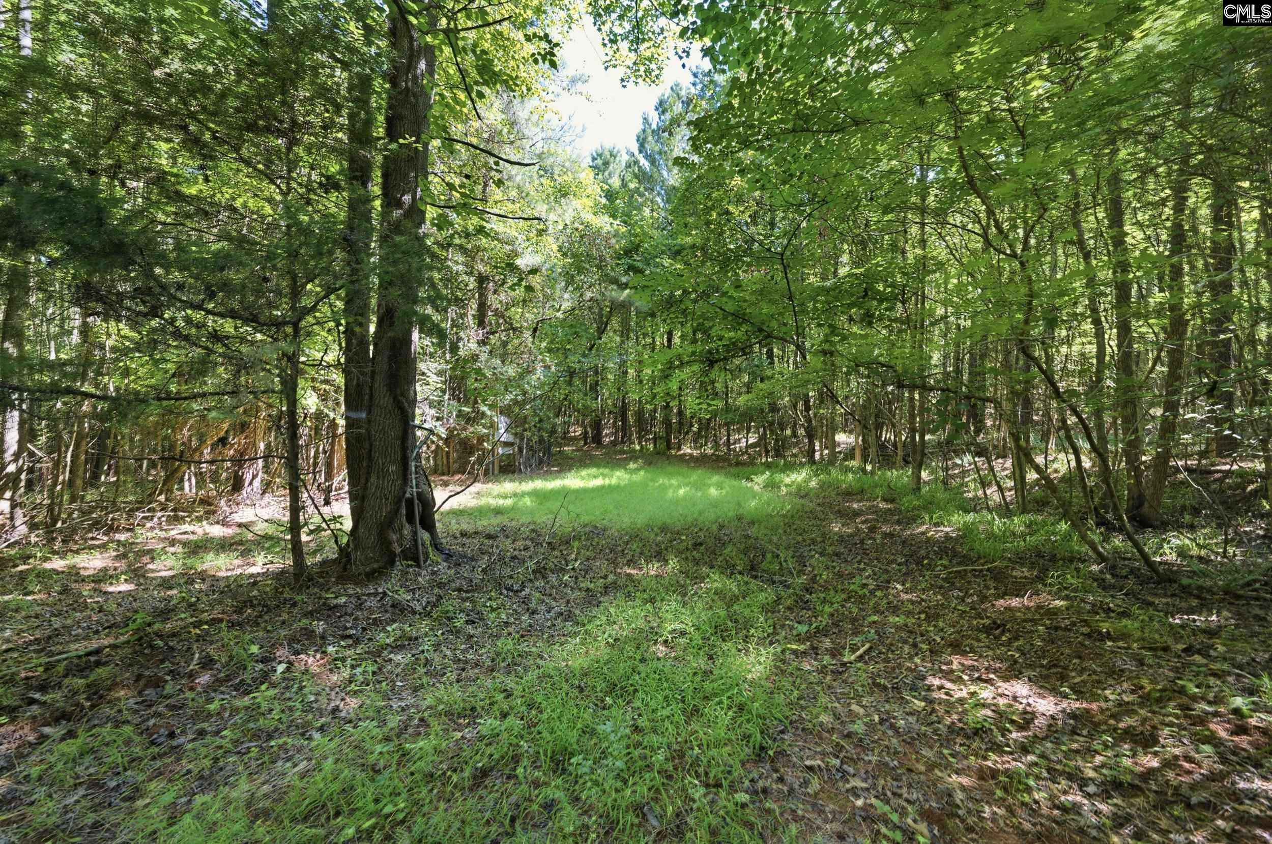 1579 Rockton Thruway Road Winnsboro, SC 29180