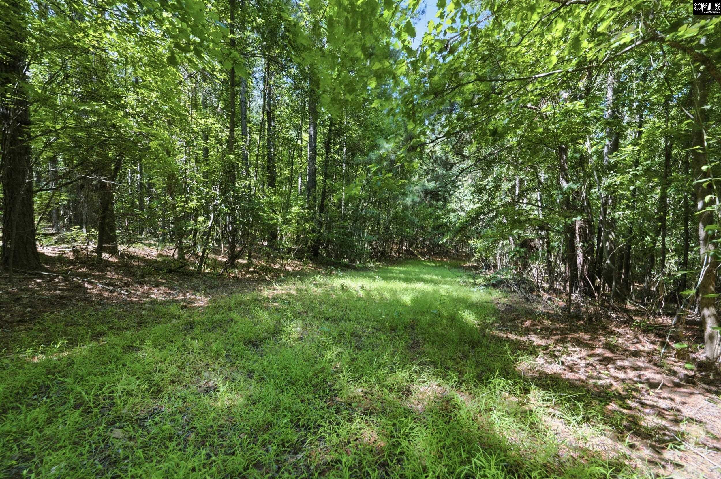1579 Rockton Thruway Road Winnsboro, SC 29180