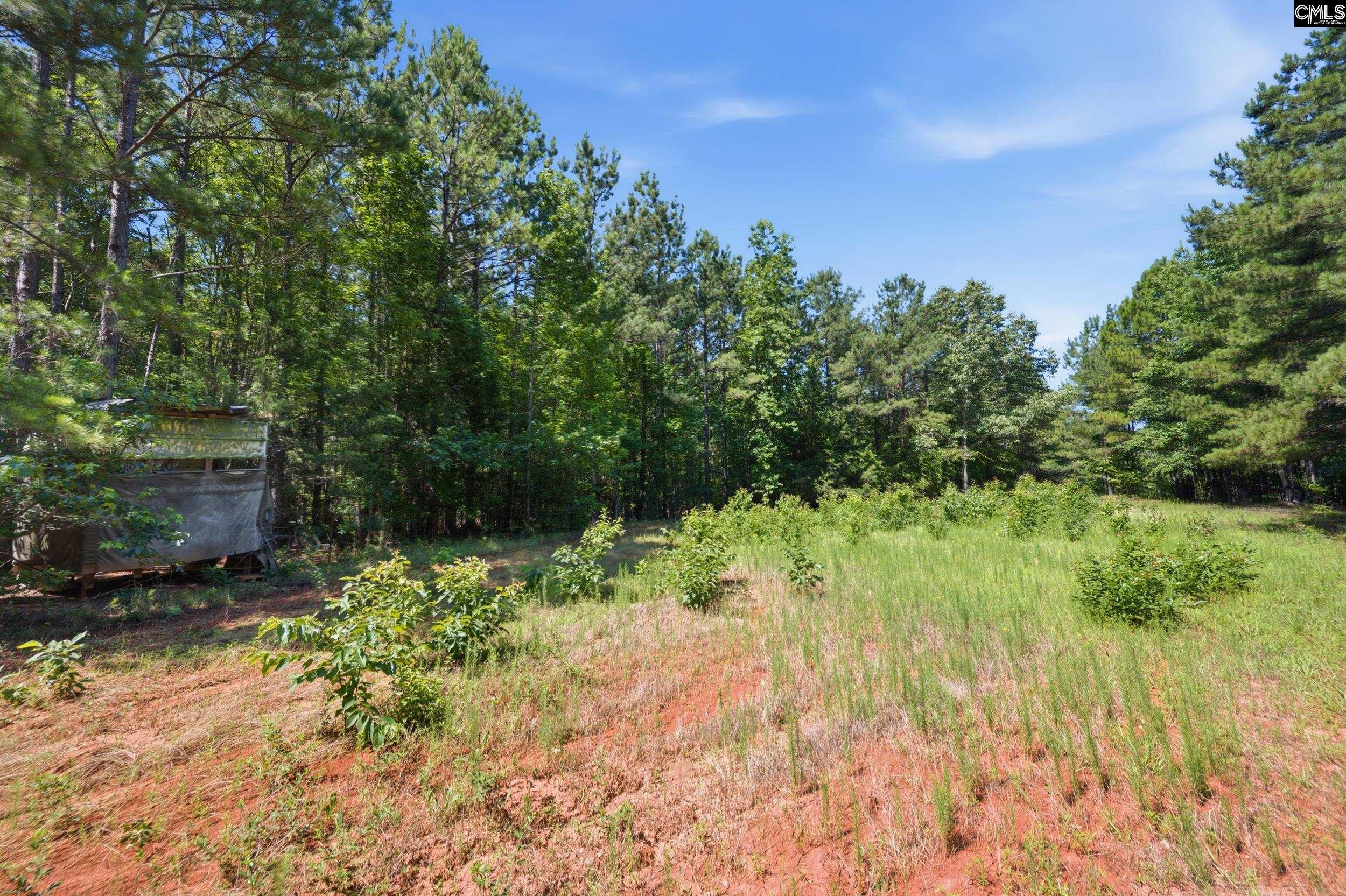 1579 Rockton Thruway Road Winnsboro, SC 29180