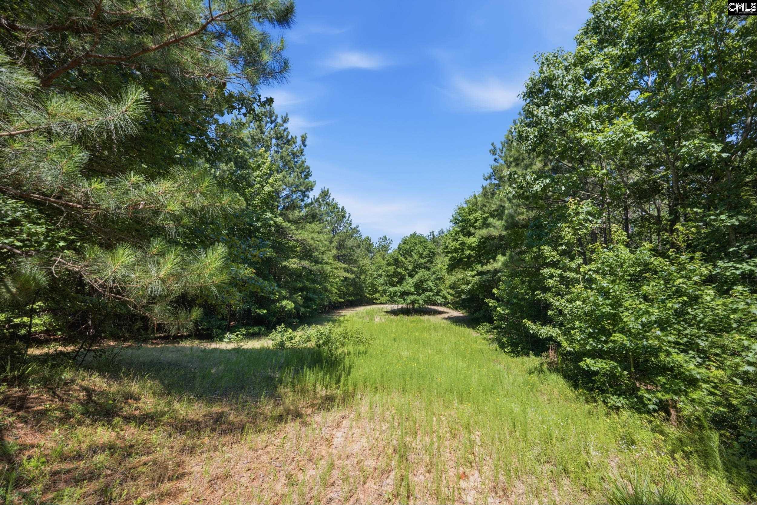 1579 Rockton Thruway Road Winnsboro, SC 29180