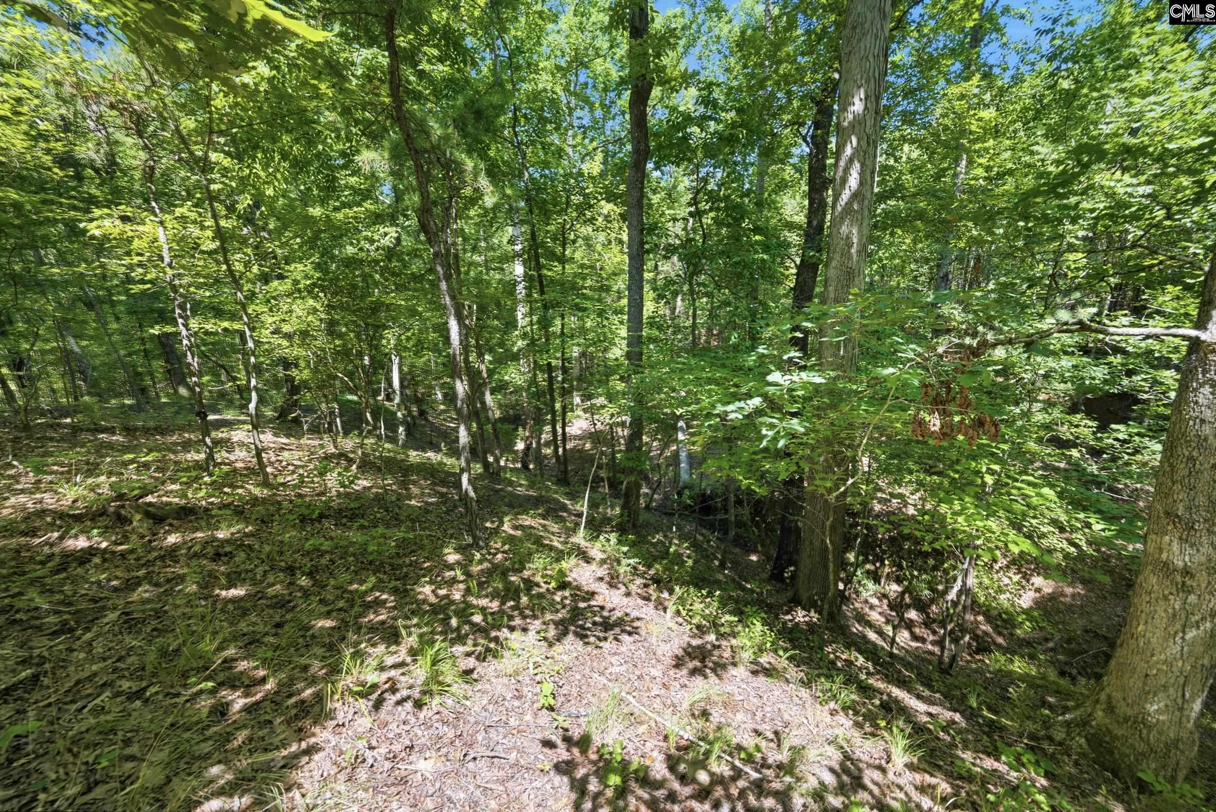 1579 Rockton Thruway Road Winnsboro, SC 29180