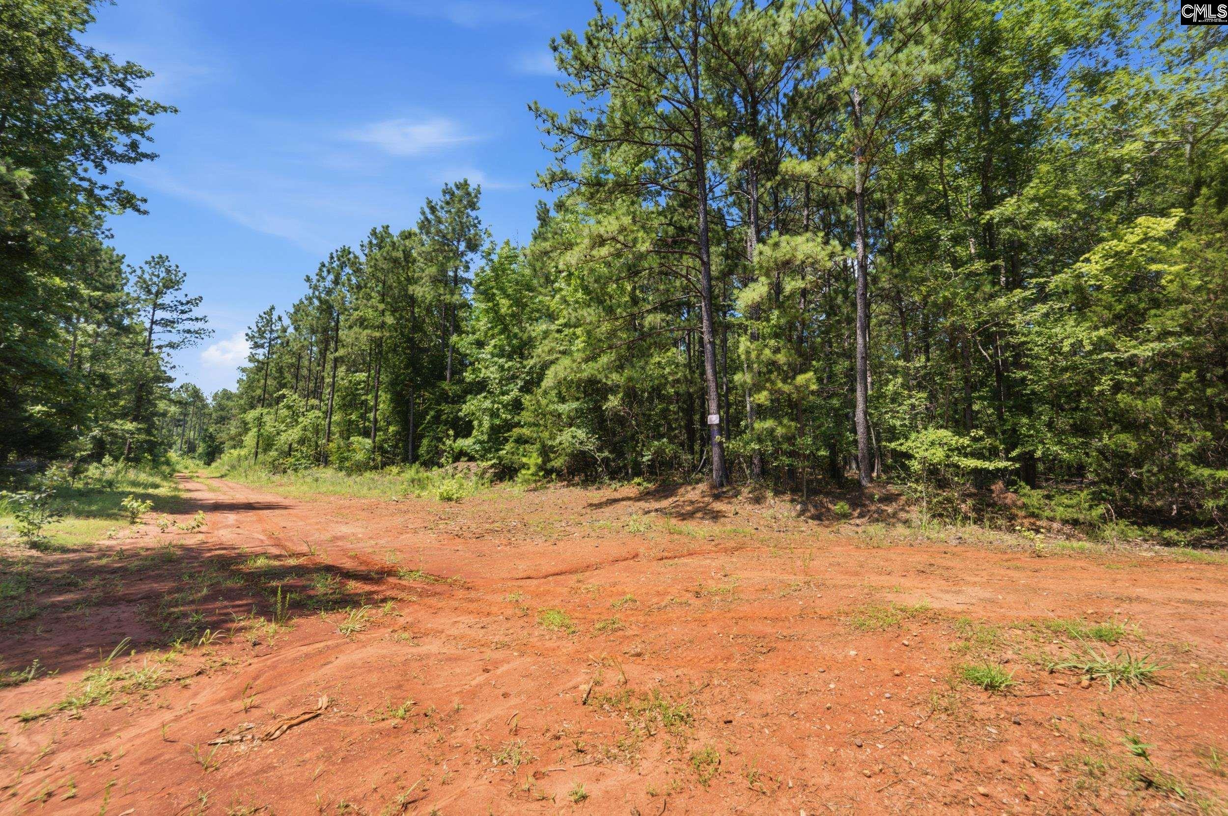 1579 Rockton Thruway Road Winnsboro, SC 29180