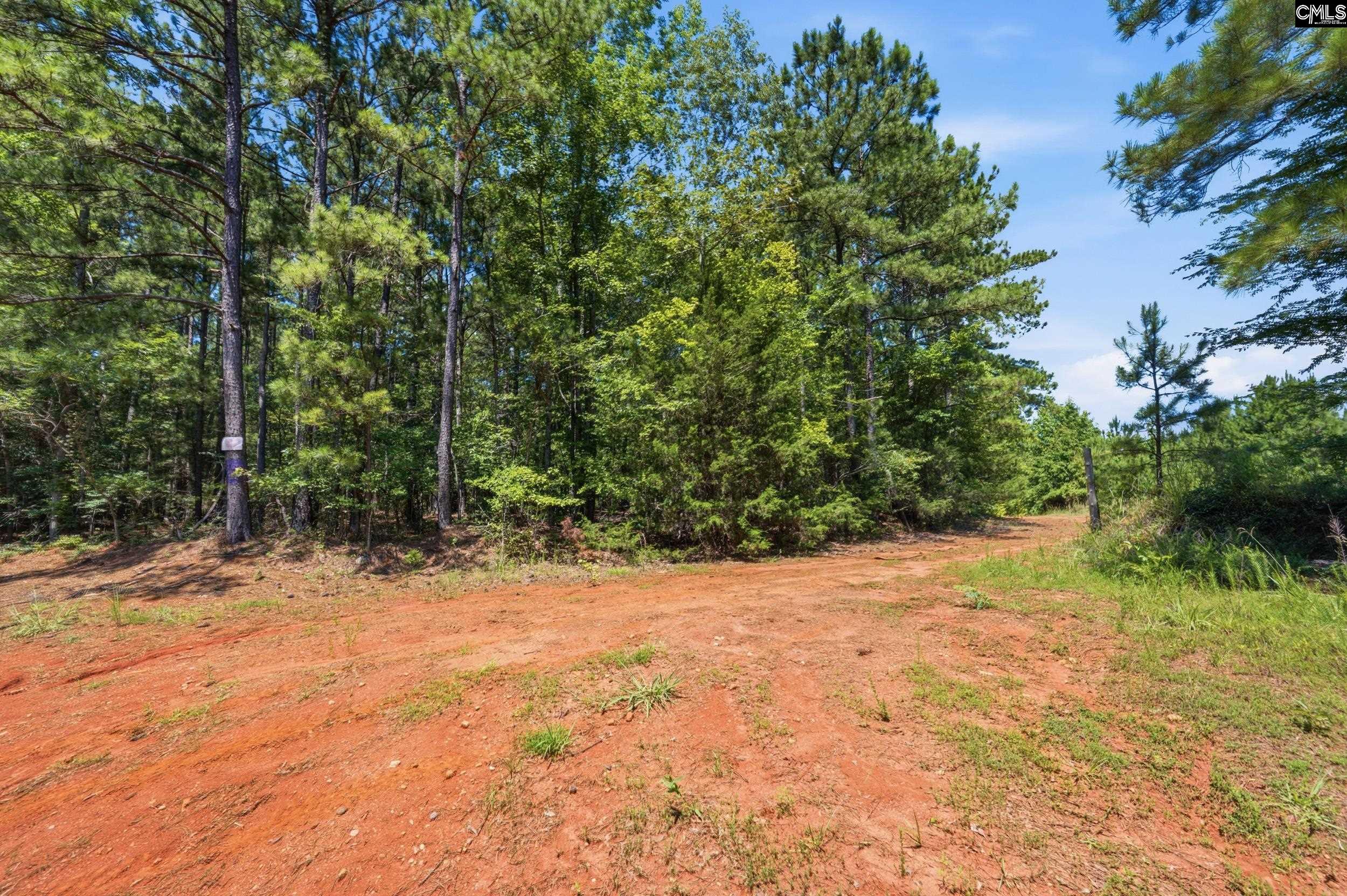1579 Rockton Thruway Road Winnsboro, SC 29180