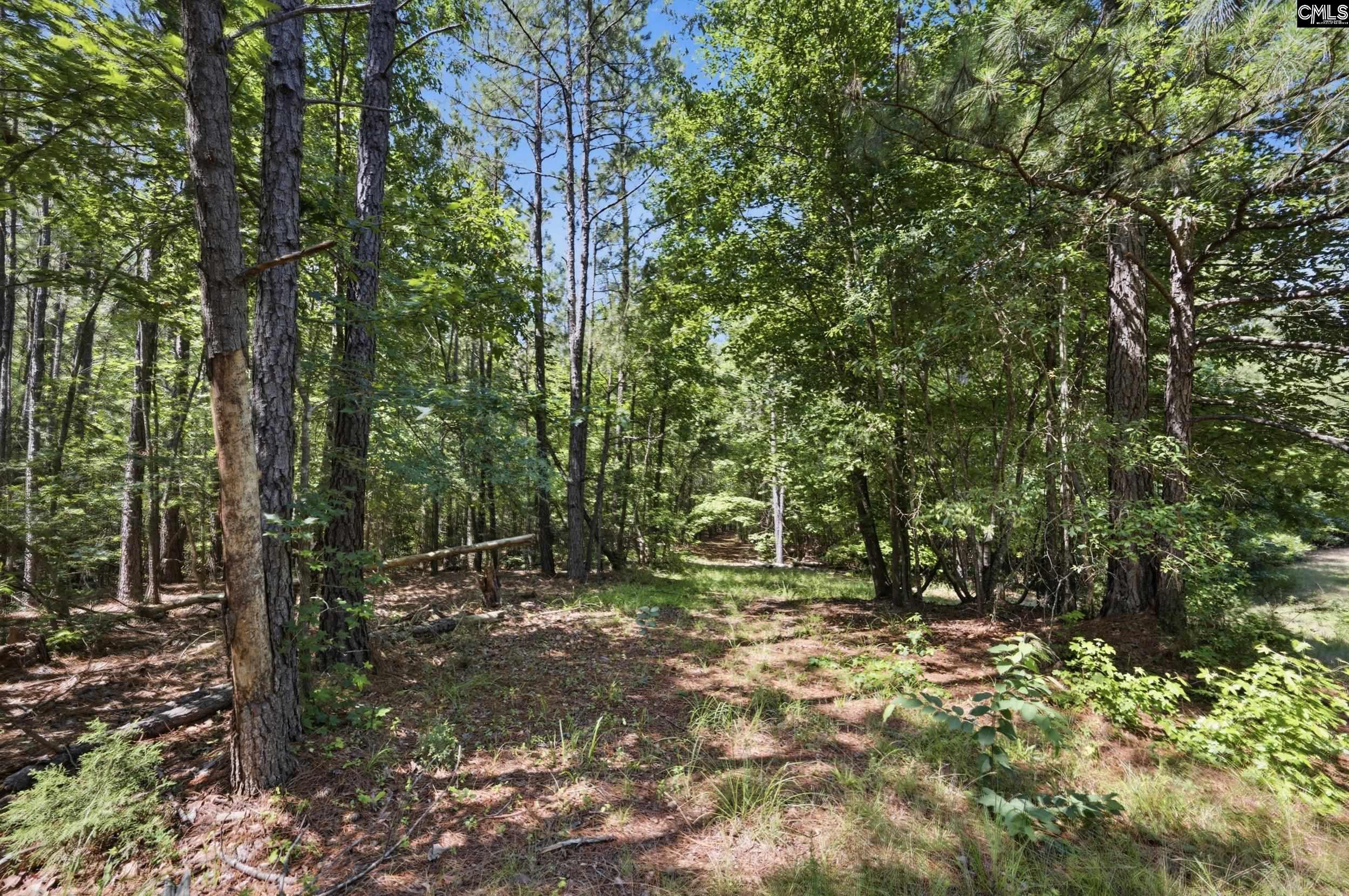 1579 Rockton Thruway Road Winnsboro, SC 29180