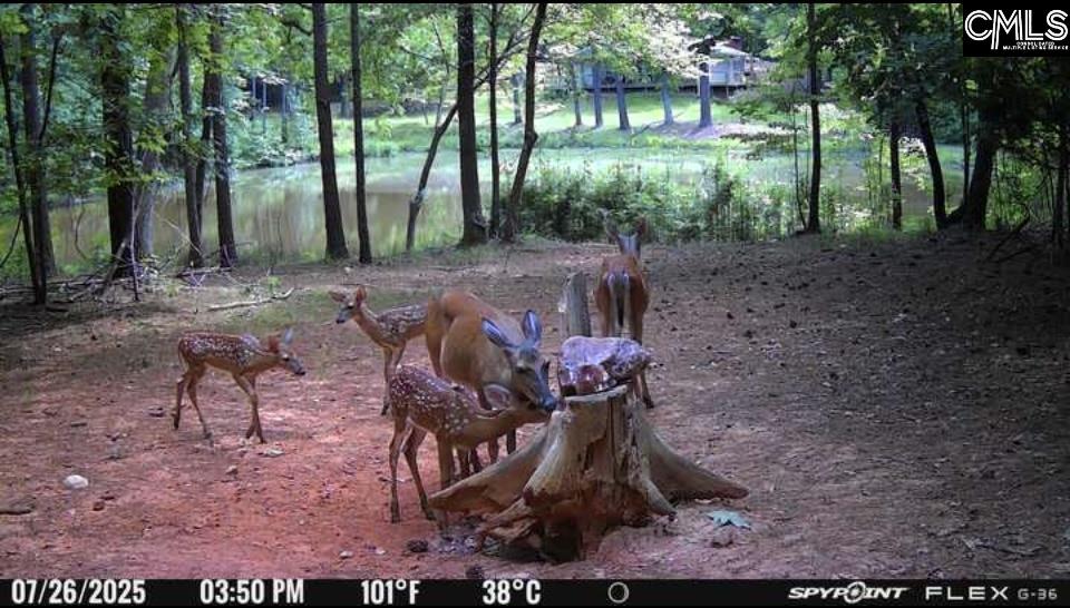 1579 Rockton Thruway Road Winnsboro, SC 29180
