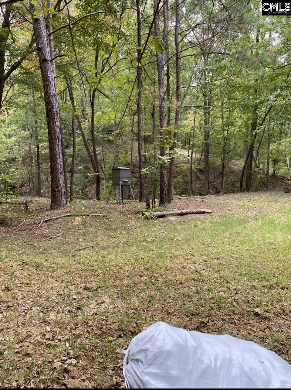 1579 Rockton Thruway Road Winnsboro, SC 29180