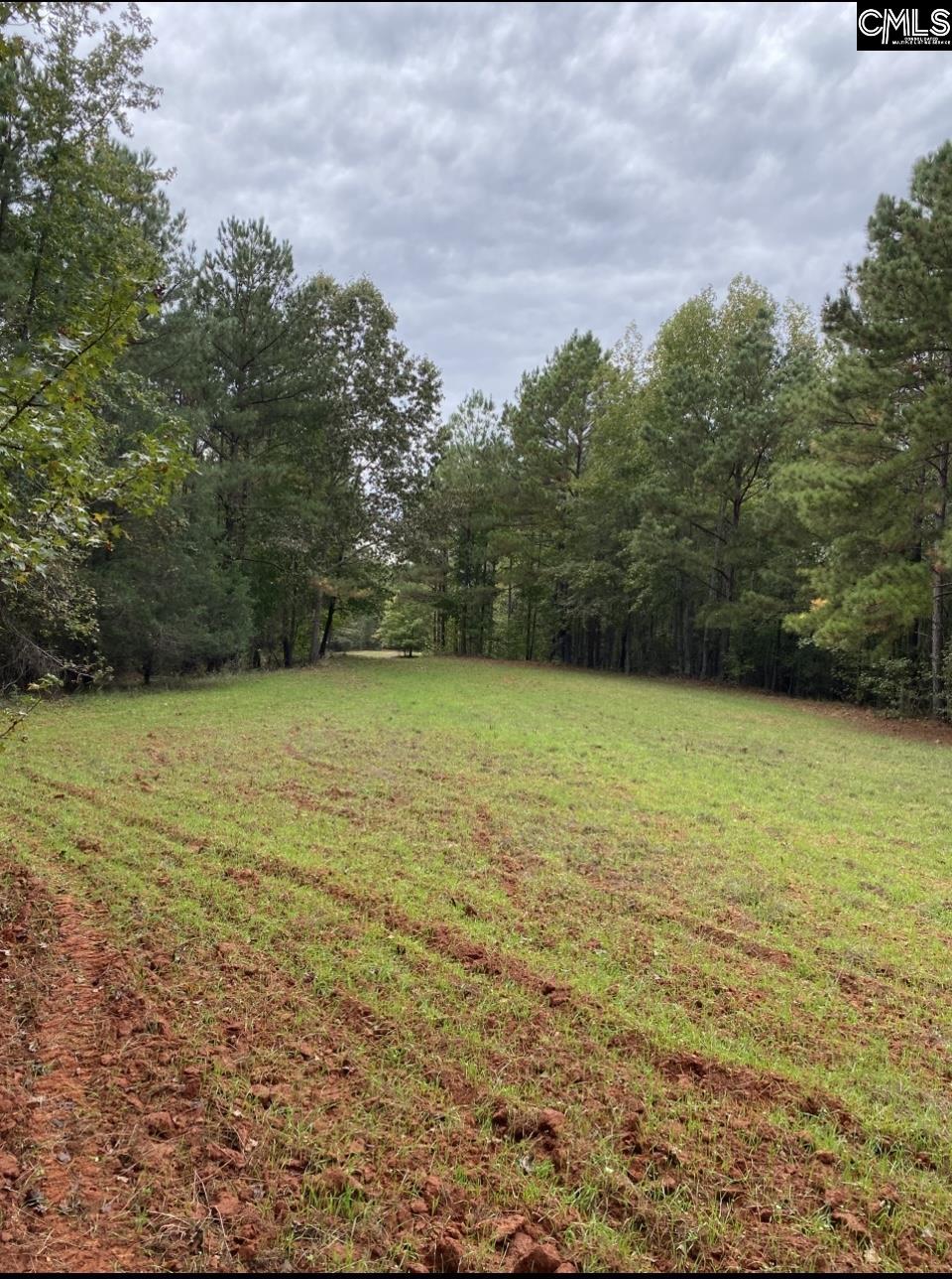 1579 Rockton Thruway Road Winnsboro, SC 29180
