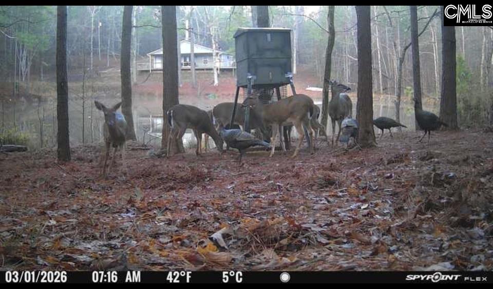 1579 Rockton Thruway Road Winnsboro, SC 29180
