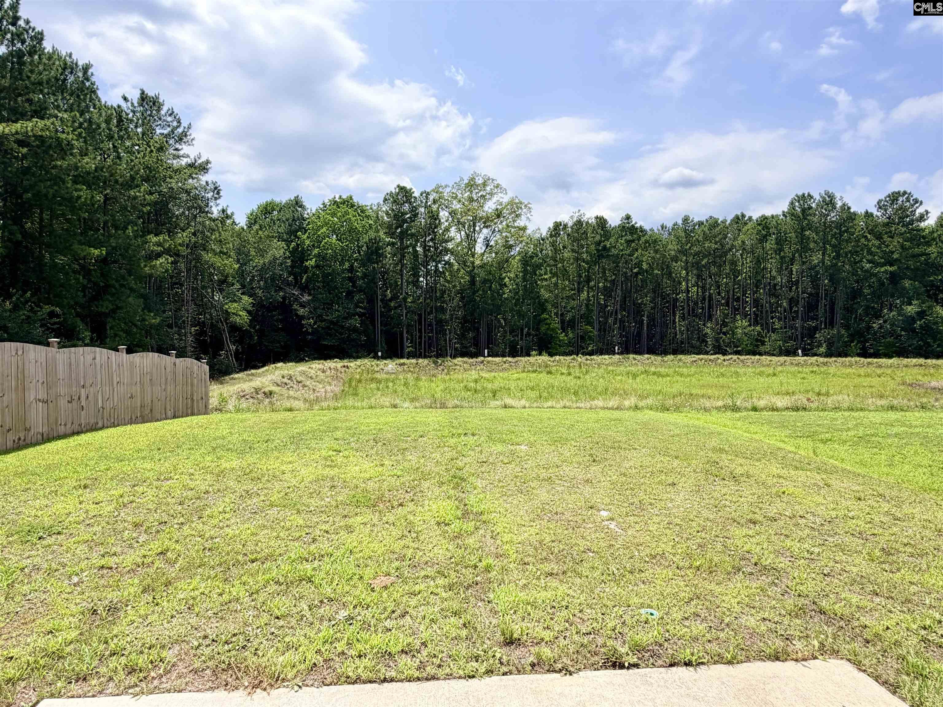 1354 Tanreall Drive Lexington, SC 29073
