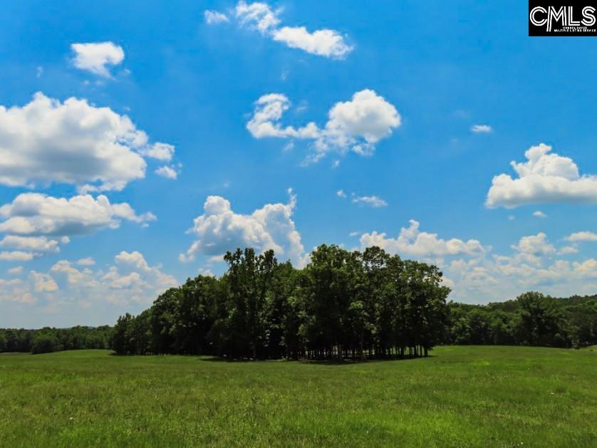 3296 Flat Rock Road Kershaw, SC 29067