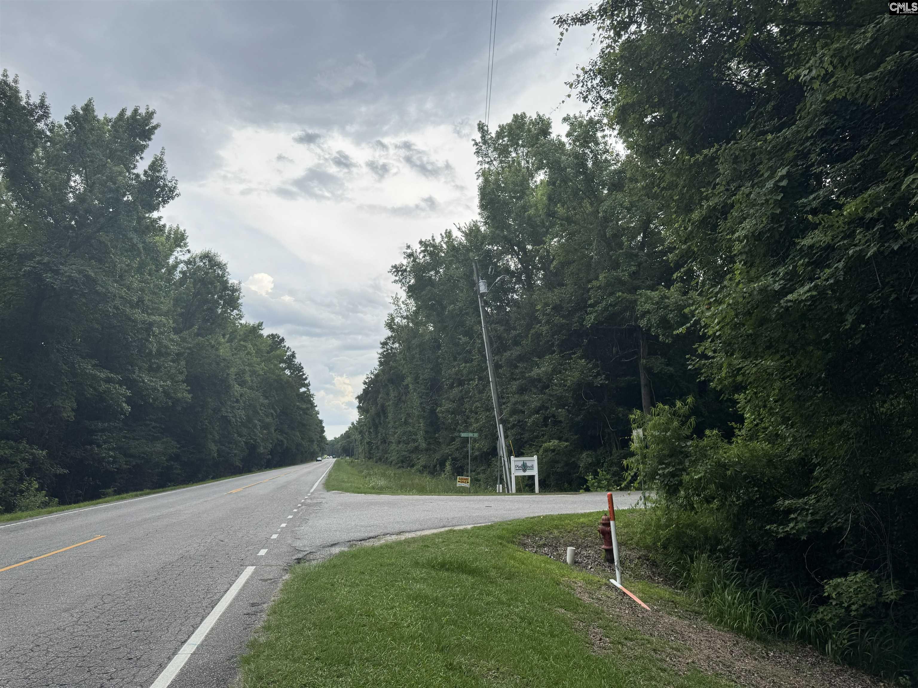 Haseldon Drive Manning, SC 29102