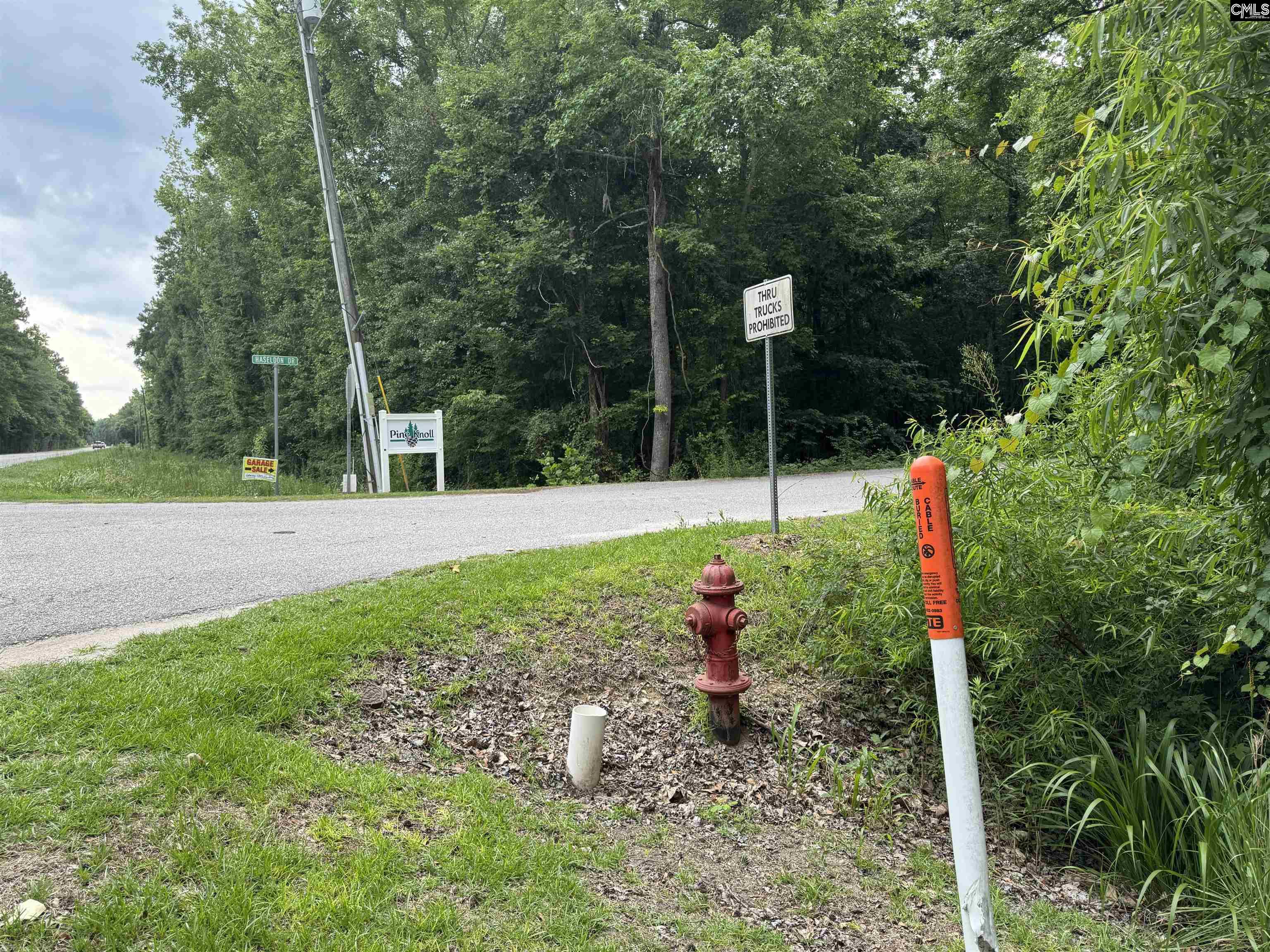 Haseldon Drive Manning, SC 29102
