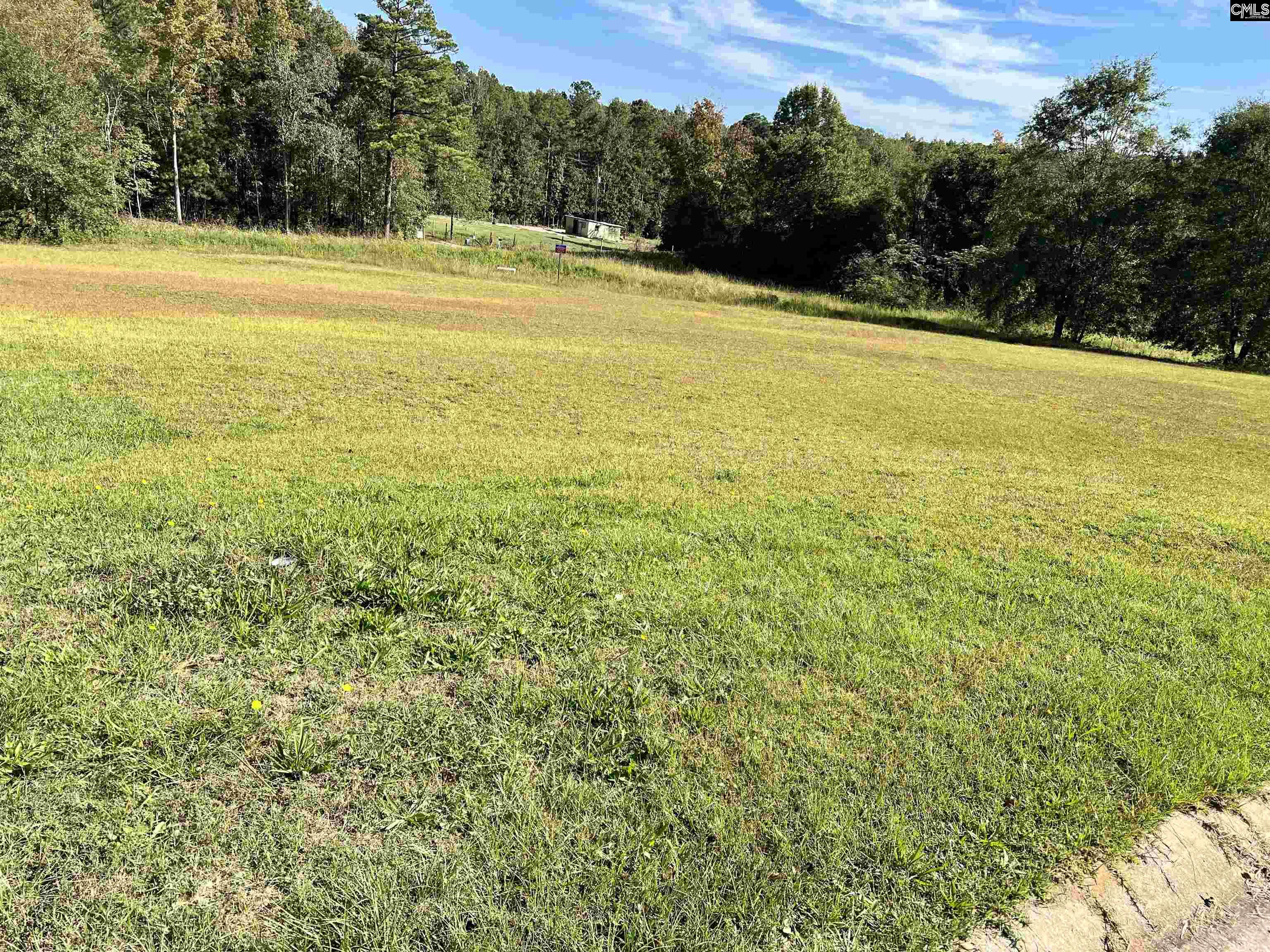 127 Deer Ridge Drive UNIT #11 Gilbert, SC 29054