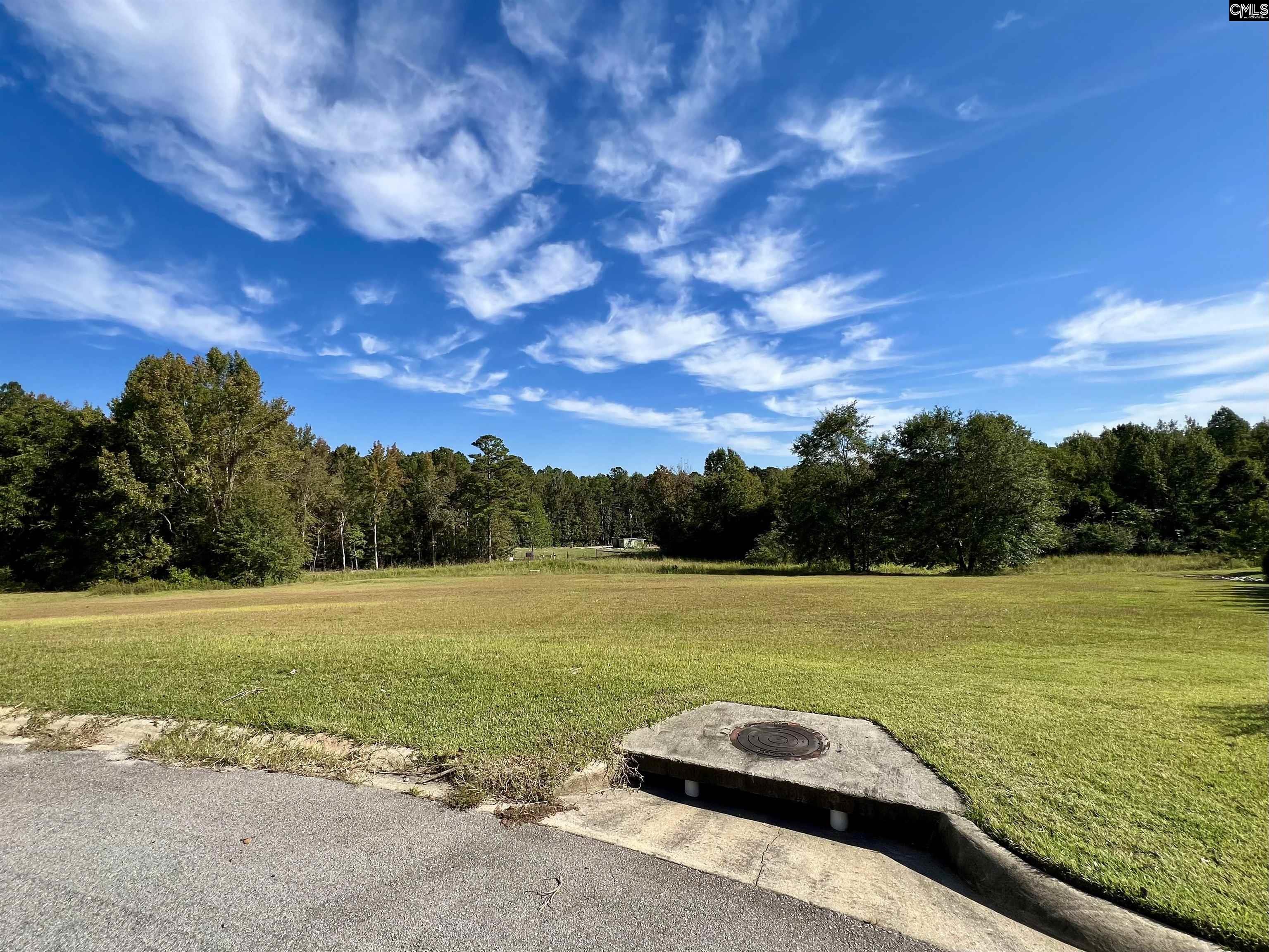 127 Deer Ridge Drive UNIT #11 Gilbert, SC 29054