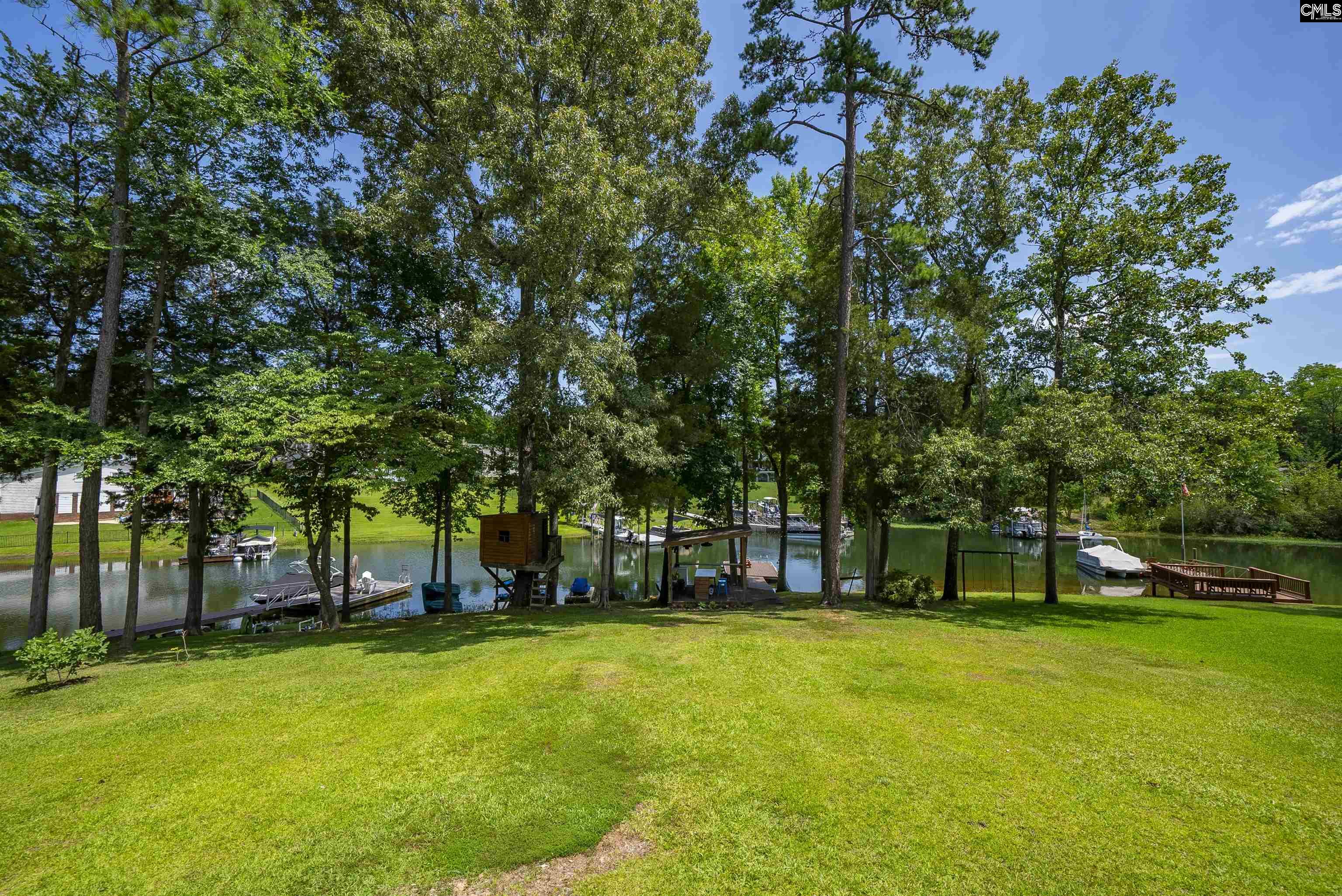 123 Waxhaws Trace Chapin, SC 29036