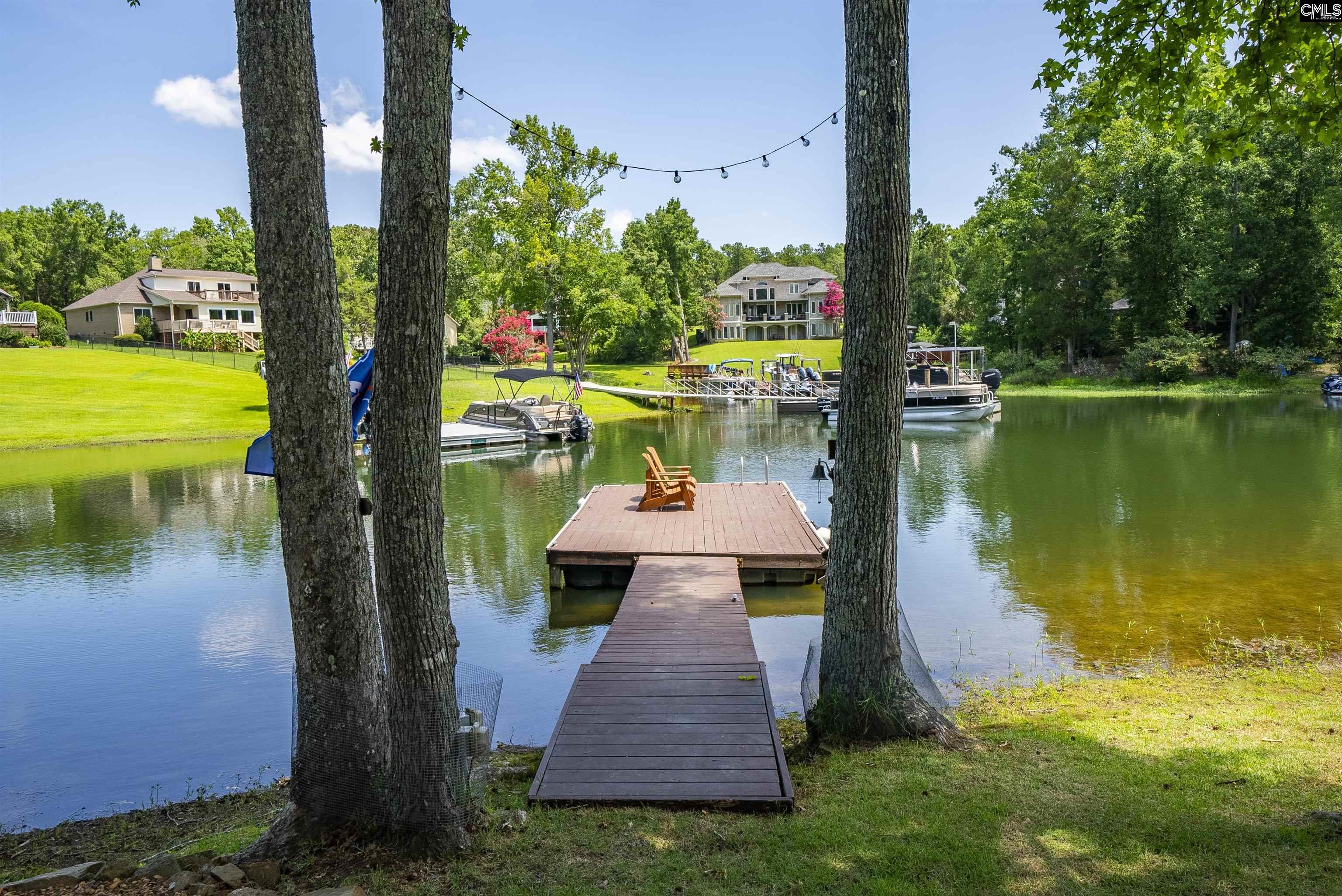 123 Waxhaws Trace Chapin, SC 29036