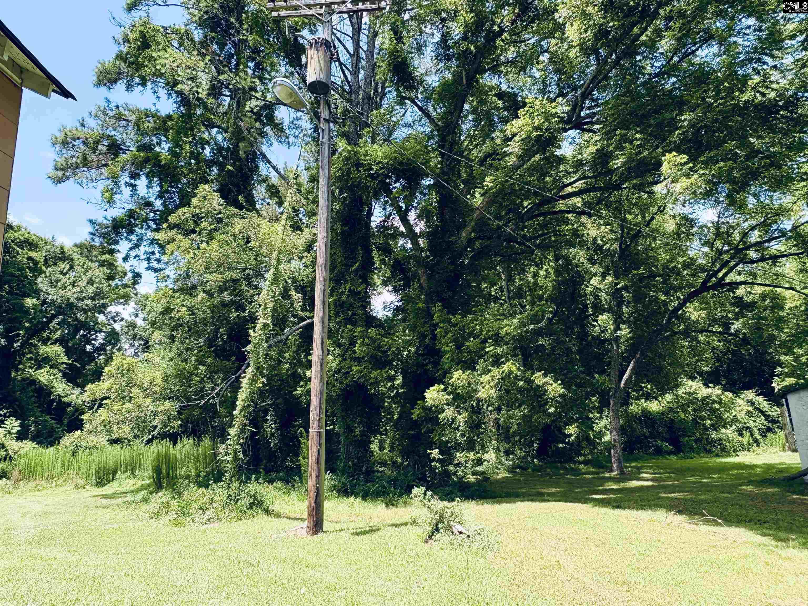 127 Feaster Street Whitmire, SC 29178