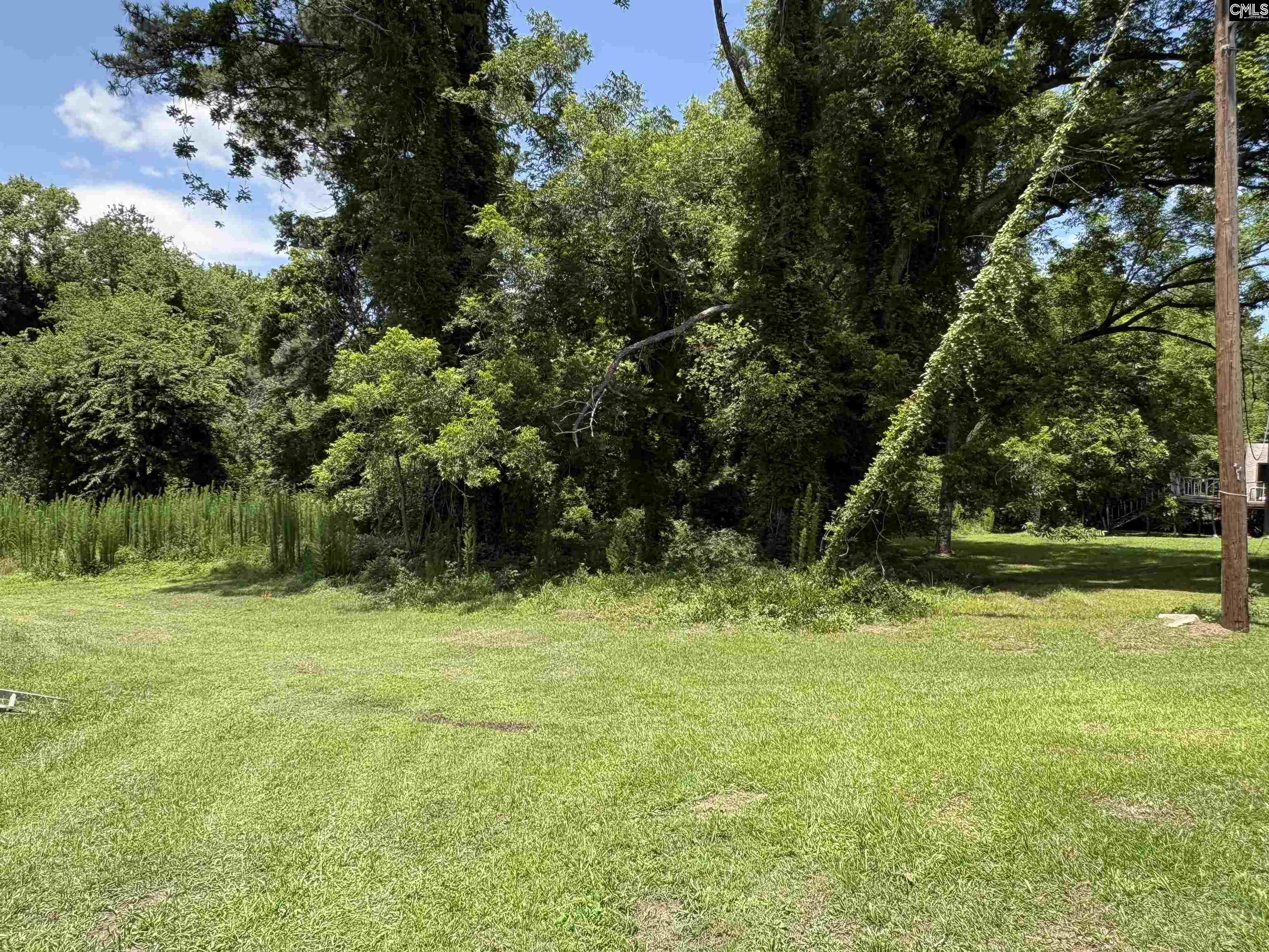 127 Feaster Street Whitmire, SC 29178