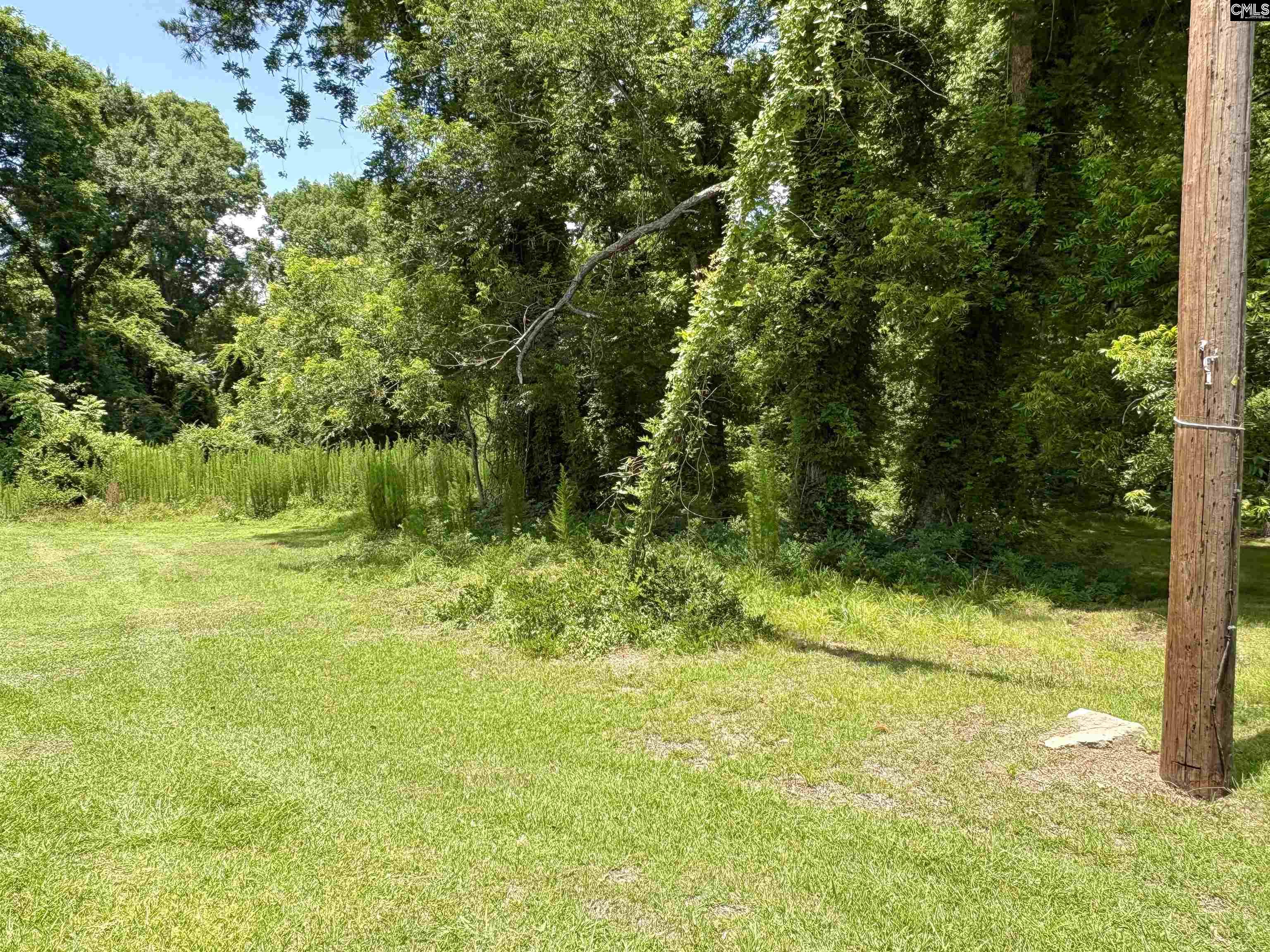 127 Feaster Street Whitmire, SC 29178